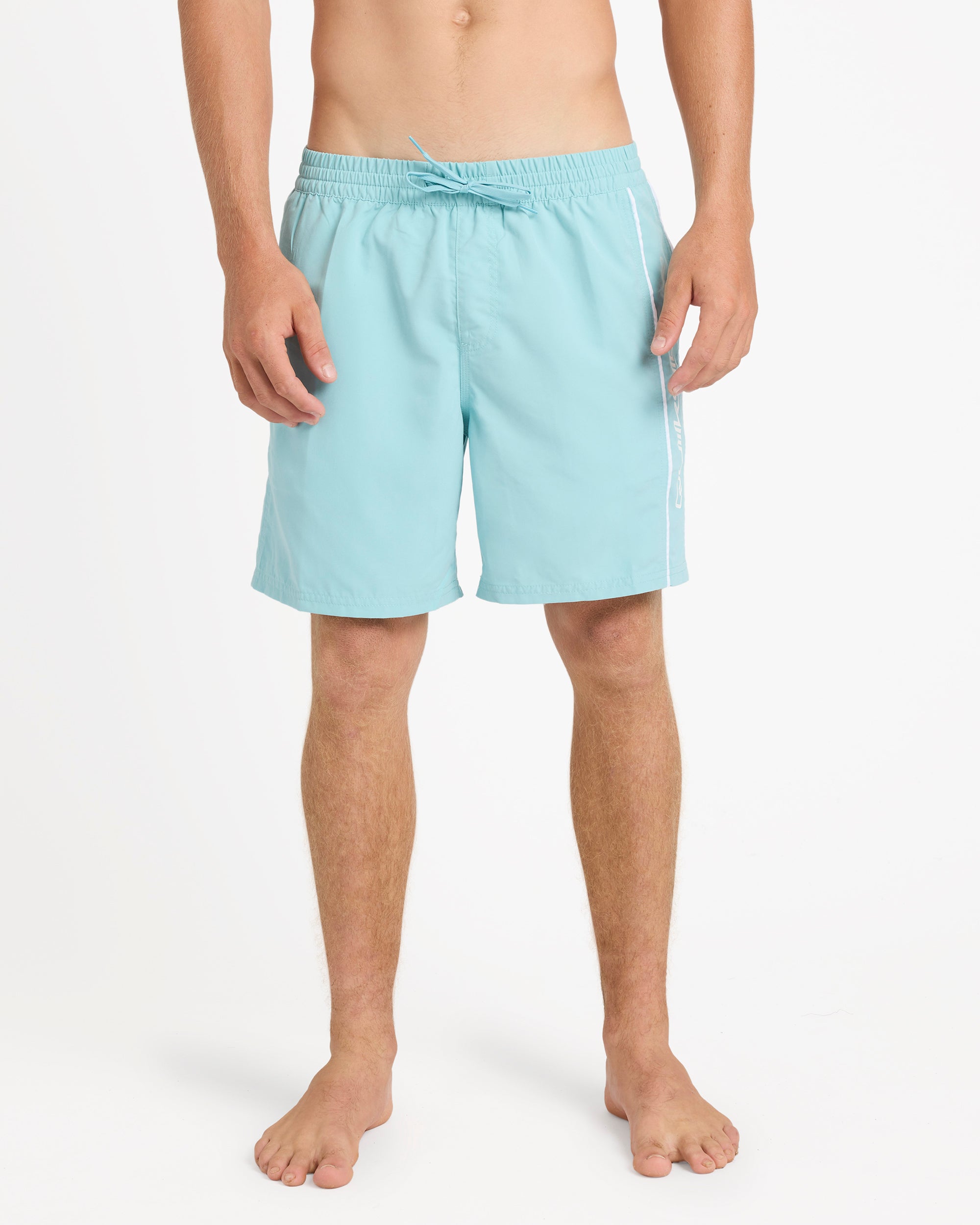 Mens Everyday Vert 17" Swim Shorts