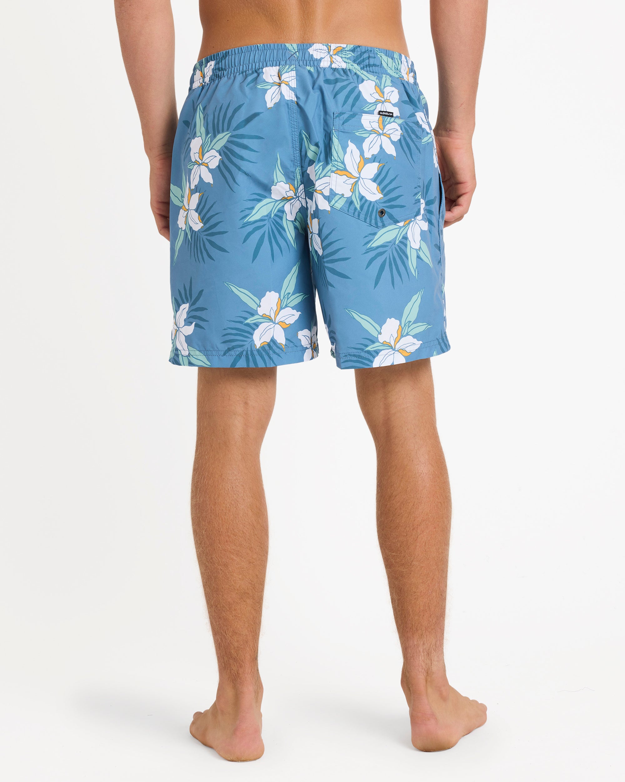 Mens Everyday Mix 17" Swim Shorts