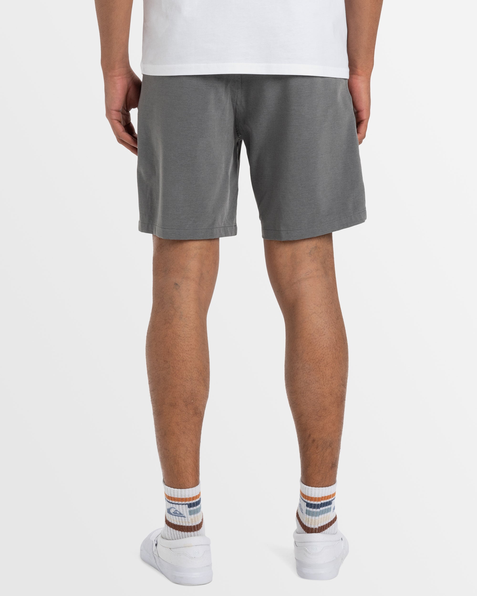 Mens Union Heather 19" Amphibian Boardshorts