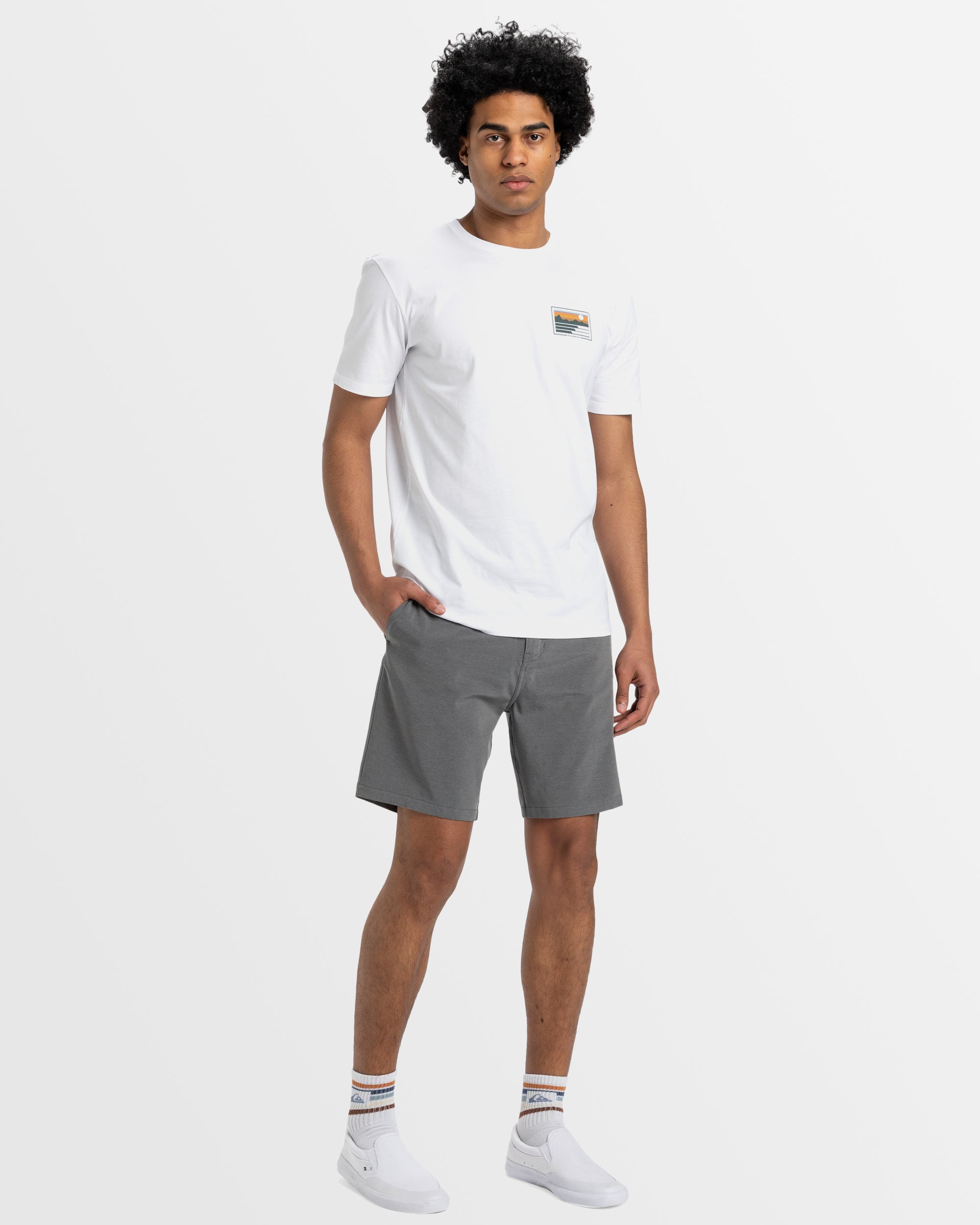 Mens Union Heather 19" Amphibian Boardshorts