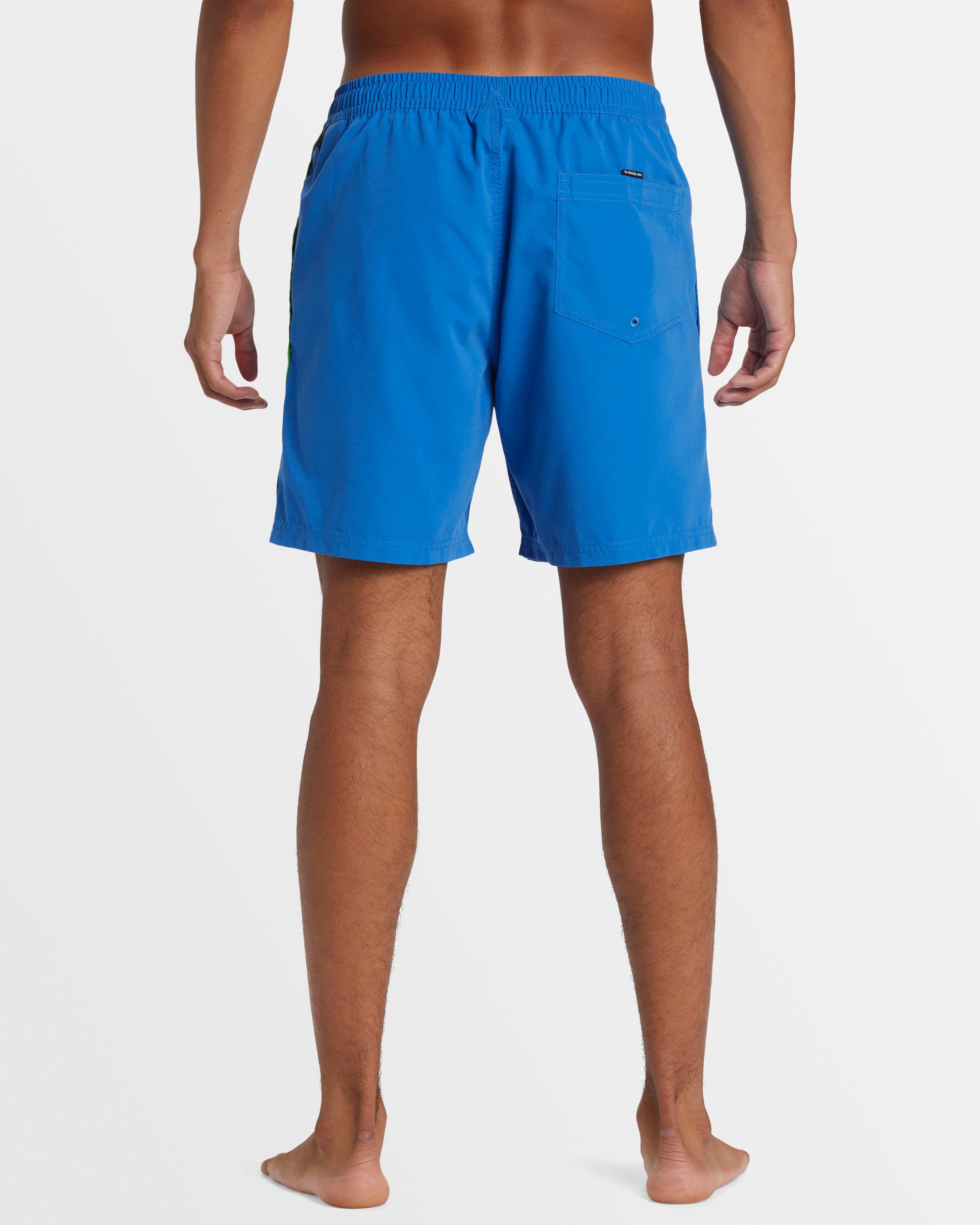 Mens Everyday Vert Volley 17" Boardshorts