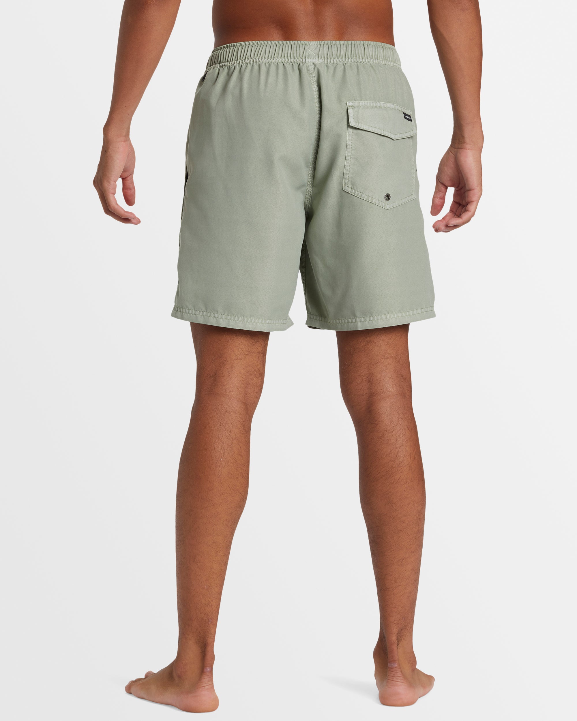 Mens Everyday Surfwash Volley 17" Boardshorts