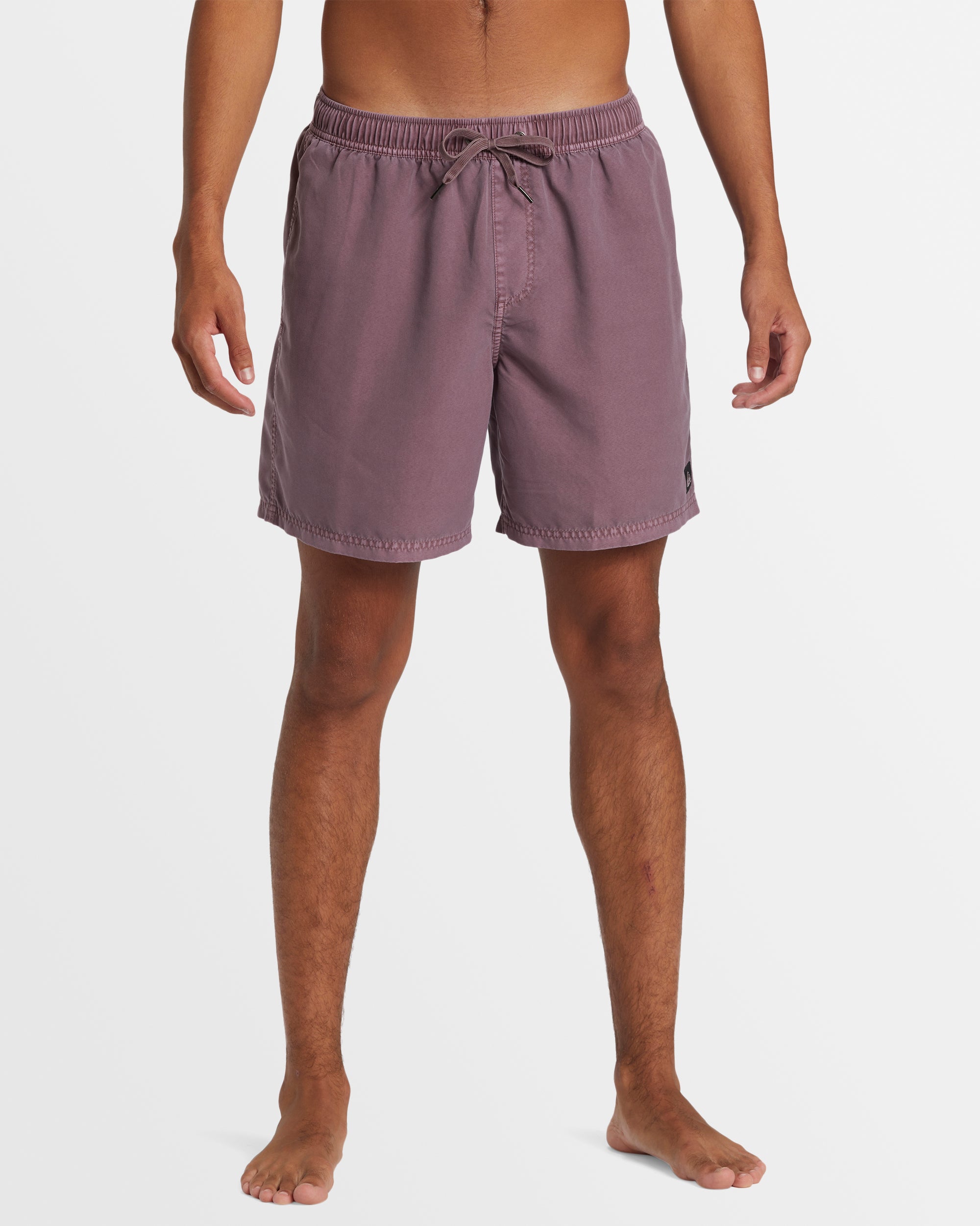 Mens Everyday Surfwash Volley 17" Boardshorts