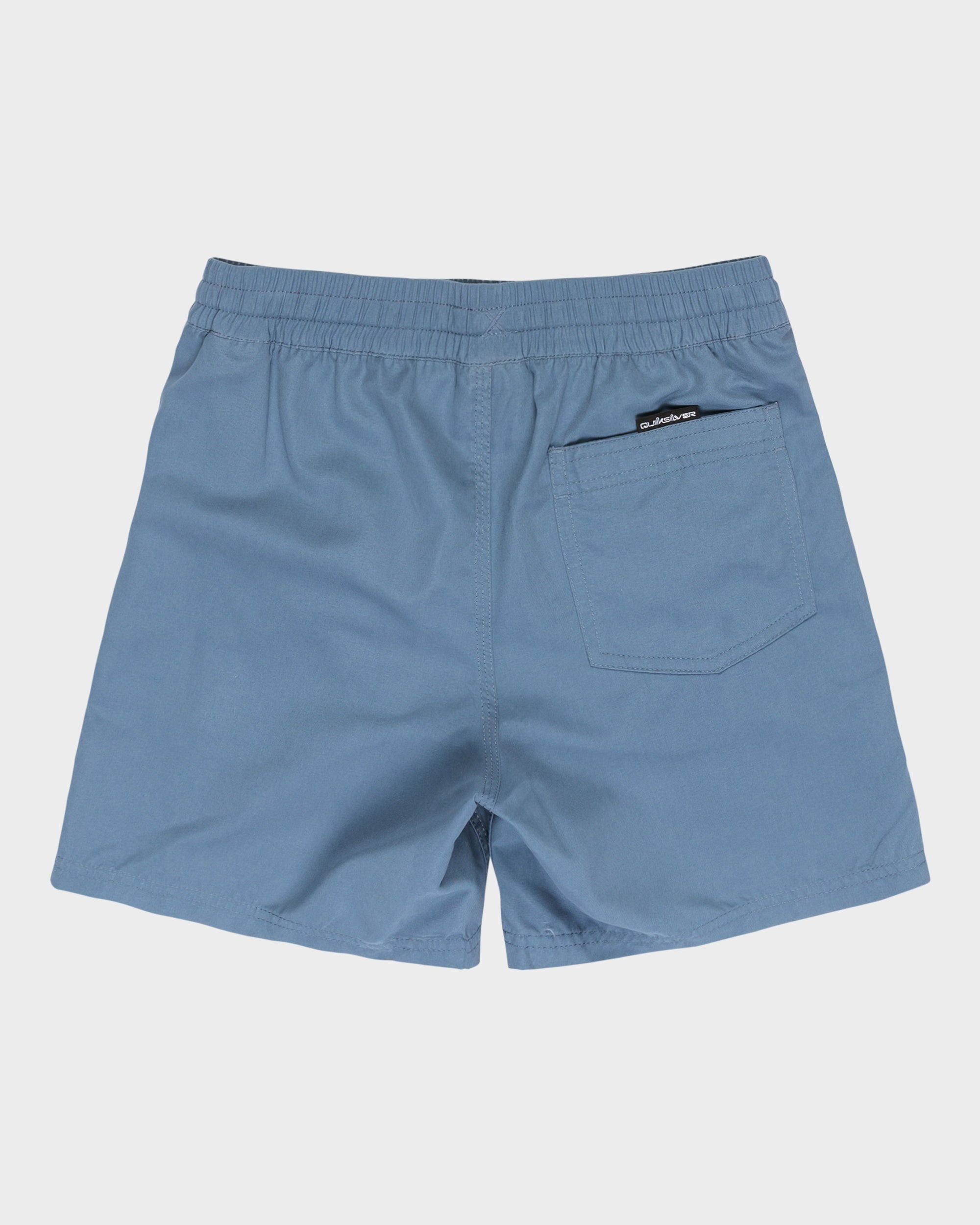 Boys 8-16 Everyday Volley 15" Swim Shorts