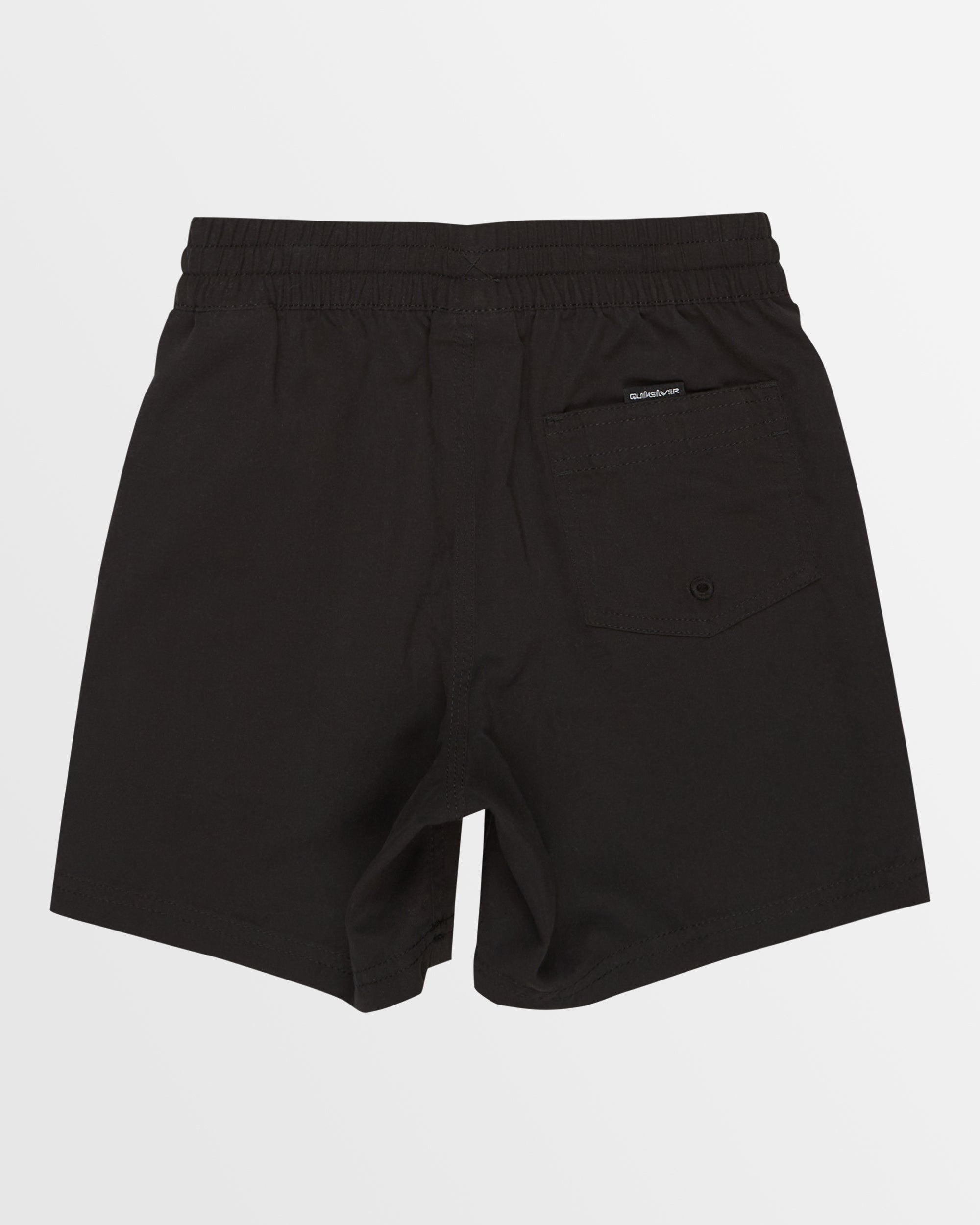 Boys 2-7 Everyday Vert Volley Shorts