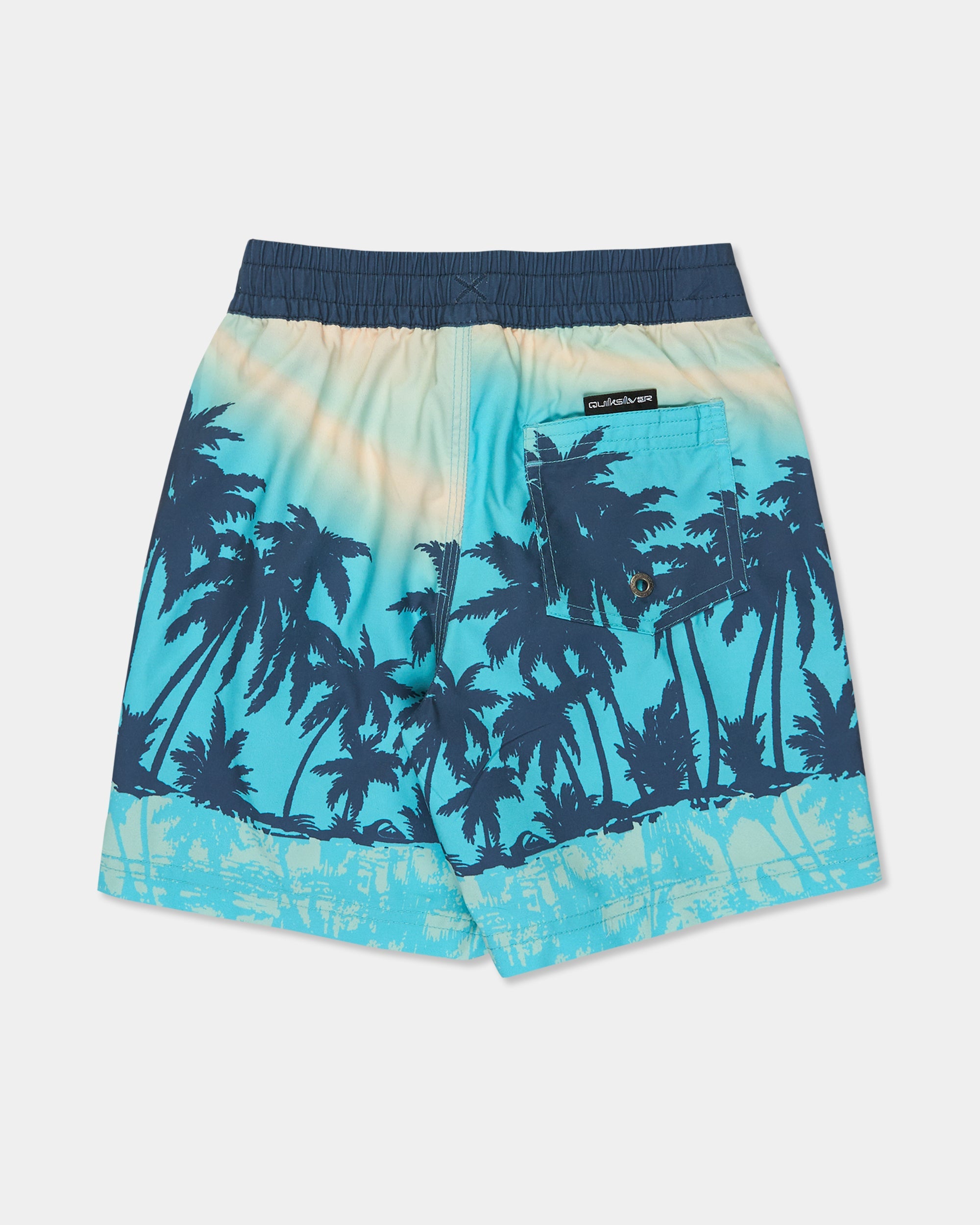 Boys 2-7 Everyday Printed 13" Swim Shorts