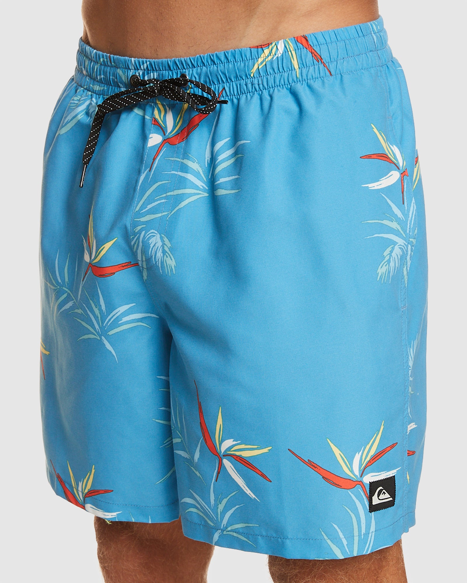 Mens Everyday Mix 17" Swim Shorts