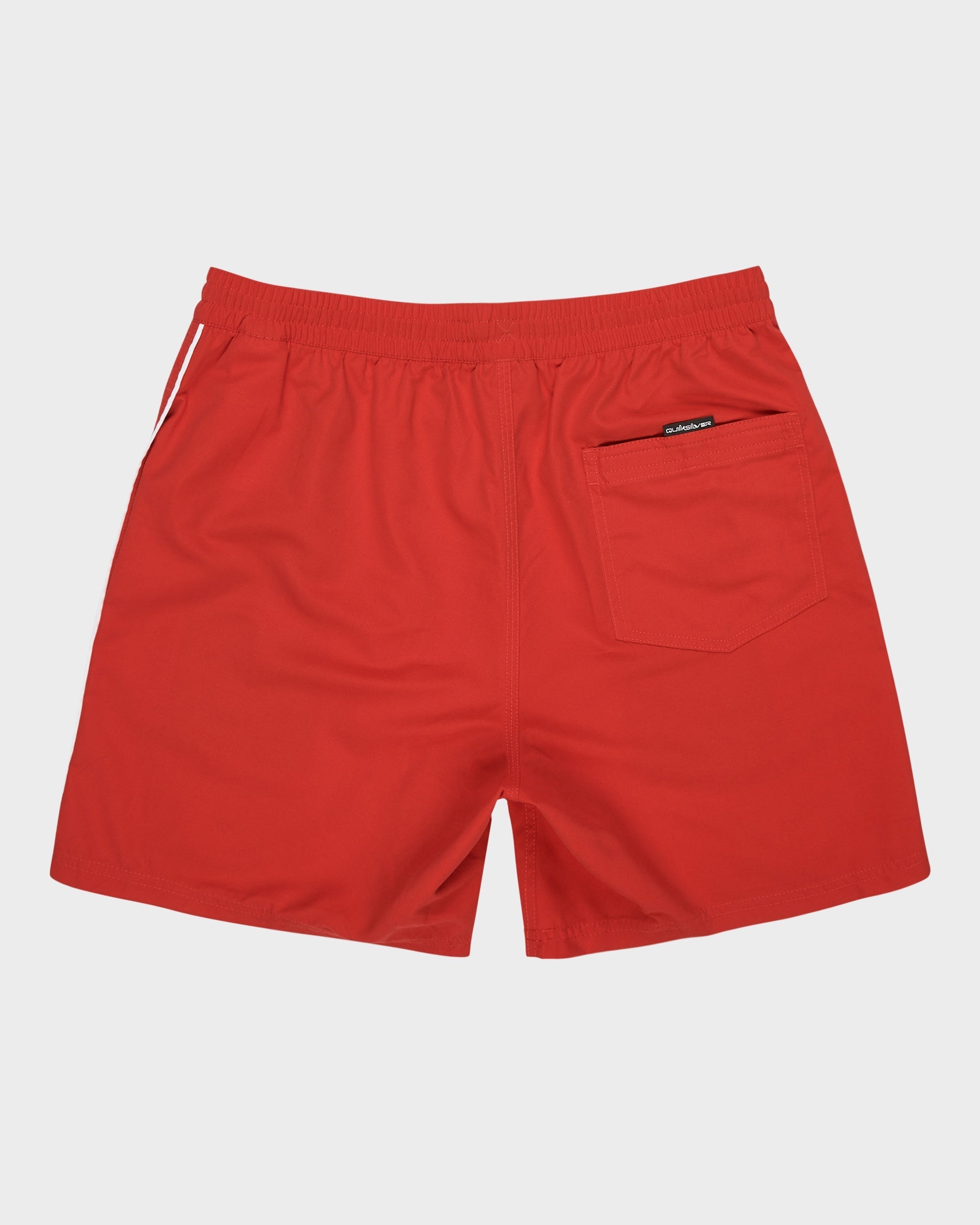 Mens Everyday Volley 17" Swim Shorts