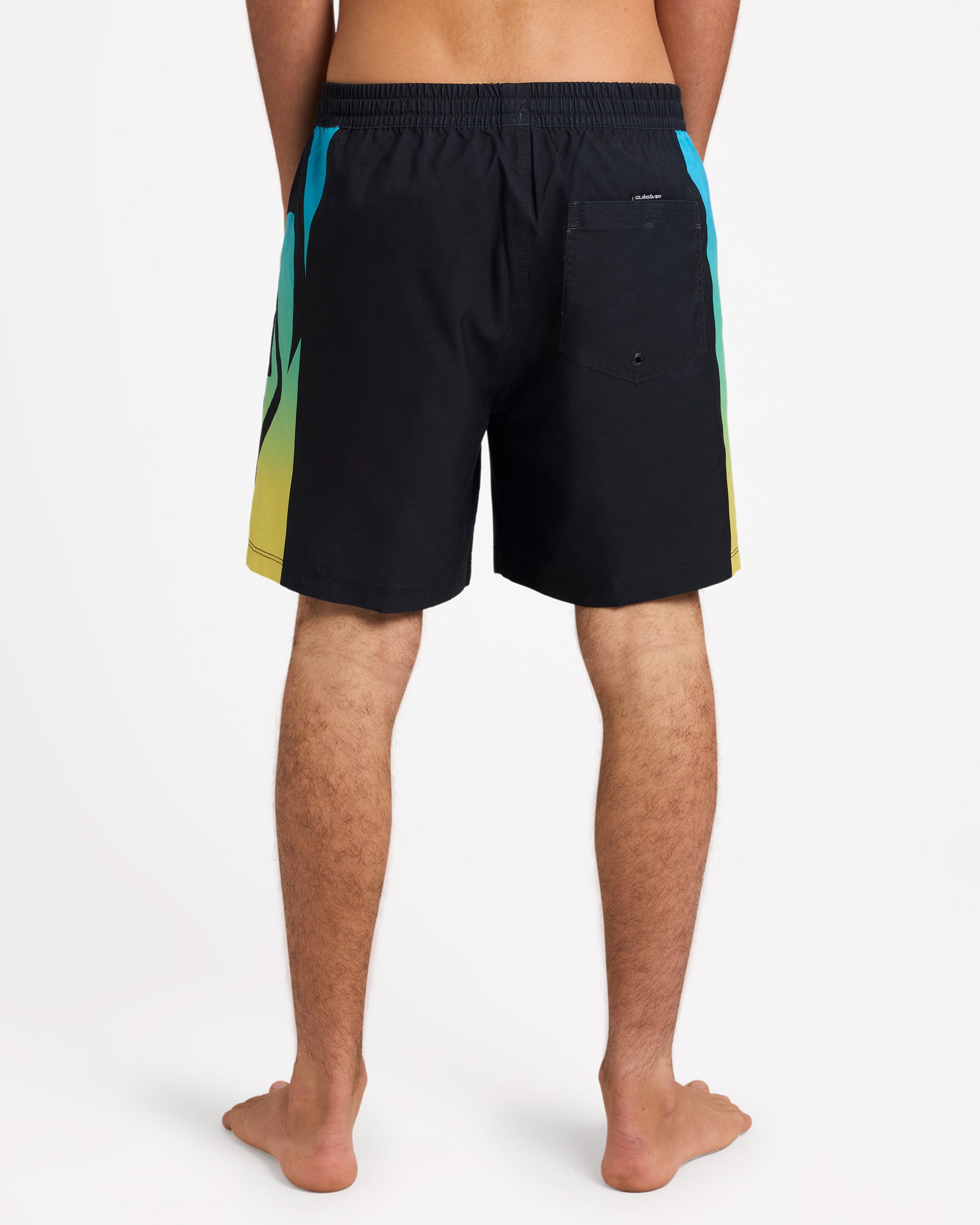 Mens Everyday Volley 17" Swim Shorts
