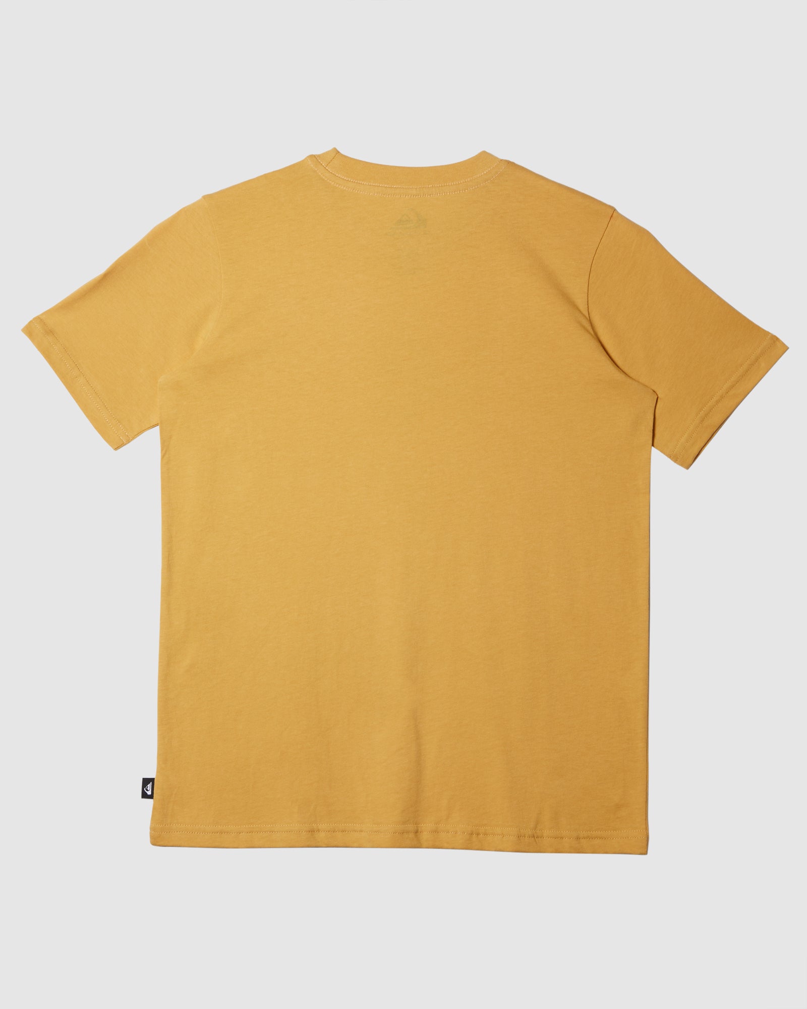 Boys 8-16 Gecko T-Shirt