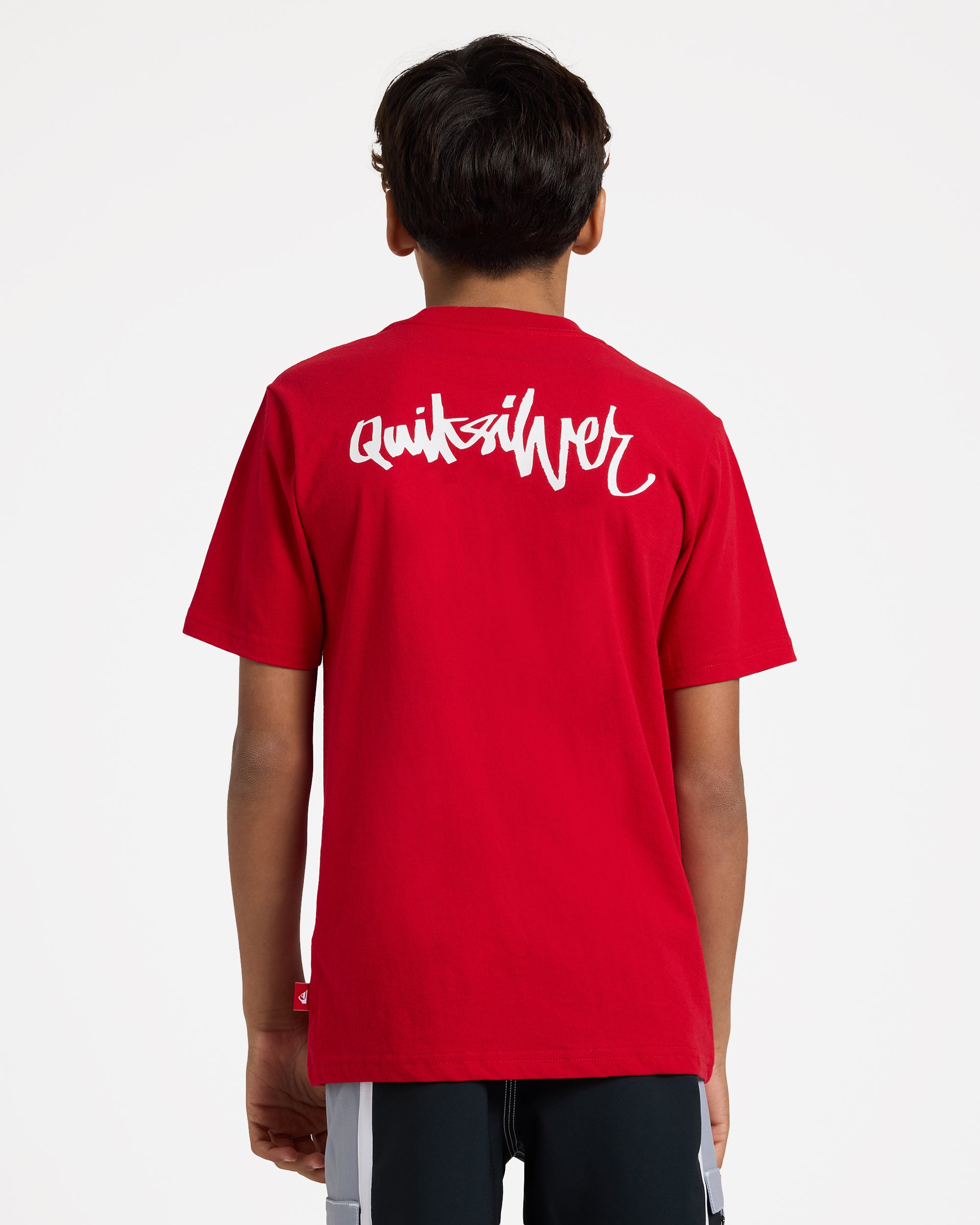 uqbzt03514_quiksilver_rzm0_bck1