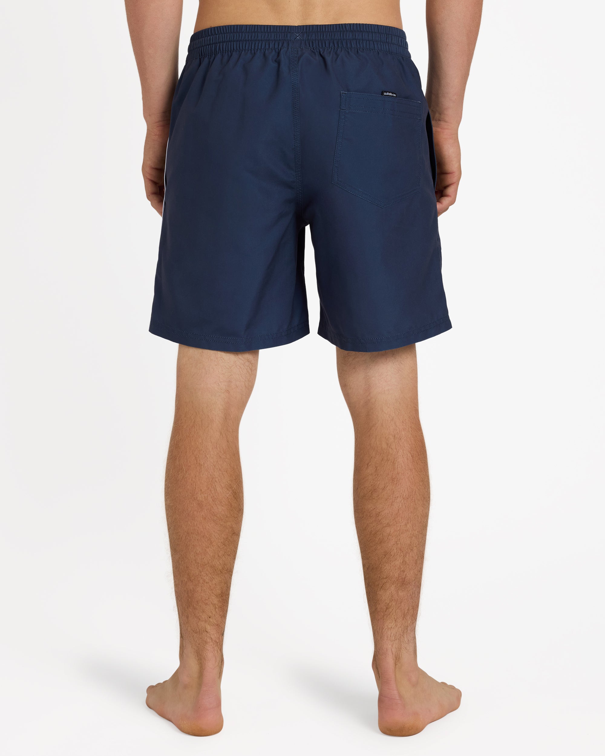Mens Everyday Vert 2.0 17" Volley Shorts