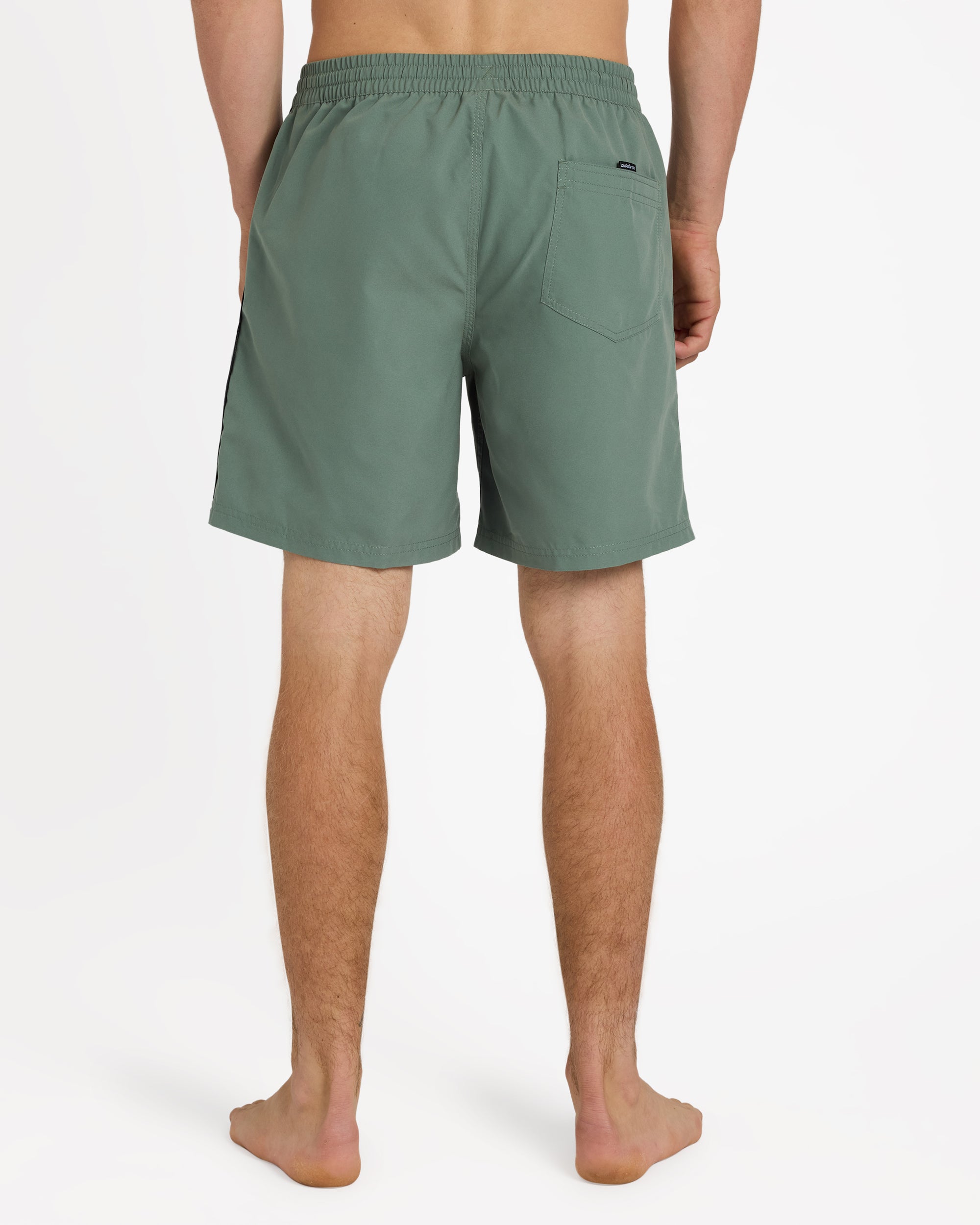 Mens Everyday Vert 2.0 17" Volley Shorts