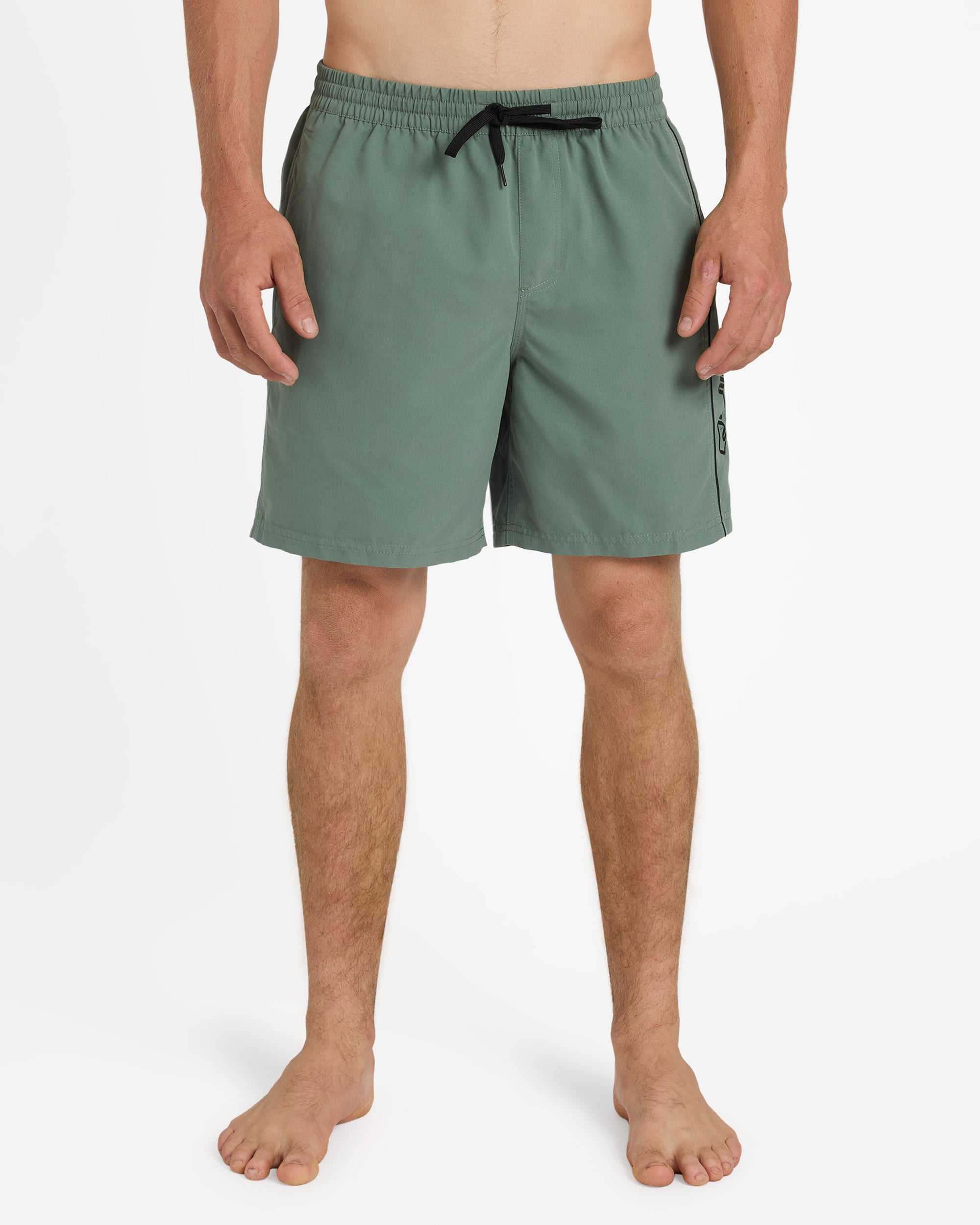 Mens Everyday Vert 2.0 17" Volley Shorts