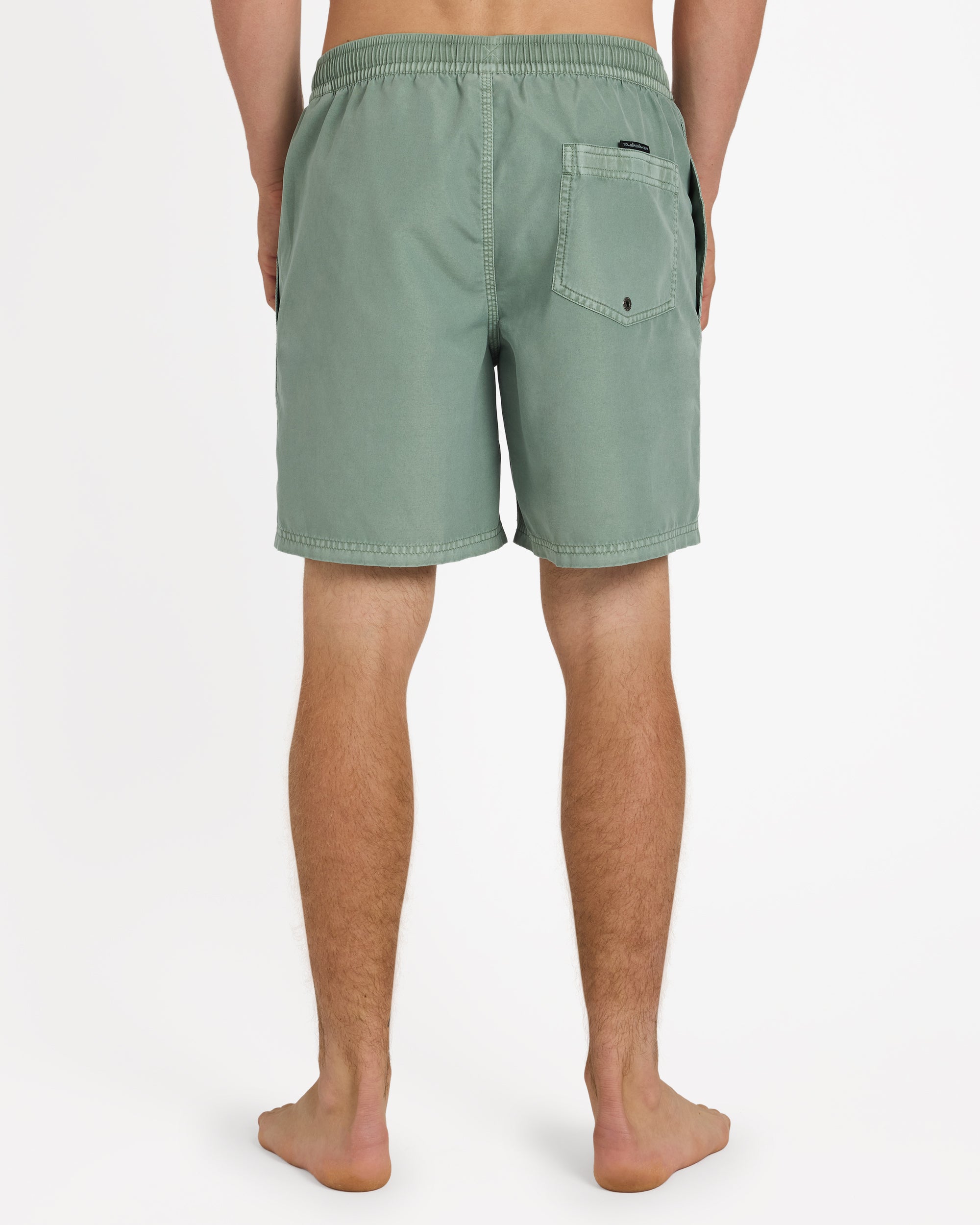 Mens Everyday Surfwash 17" Volley Shorts