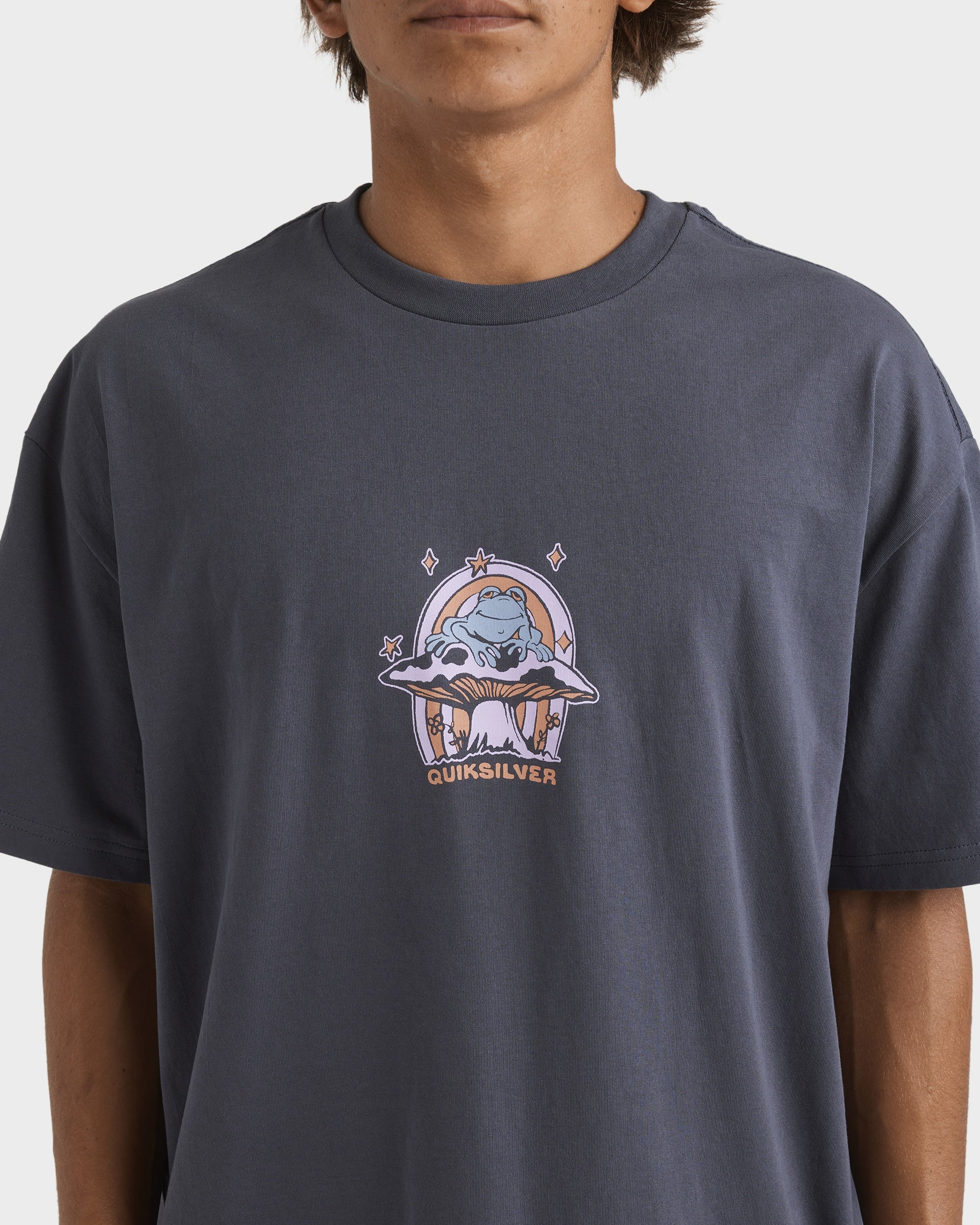 Mens Natures Choice T-Shirt – India Ink – Quiksilver AU