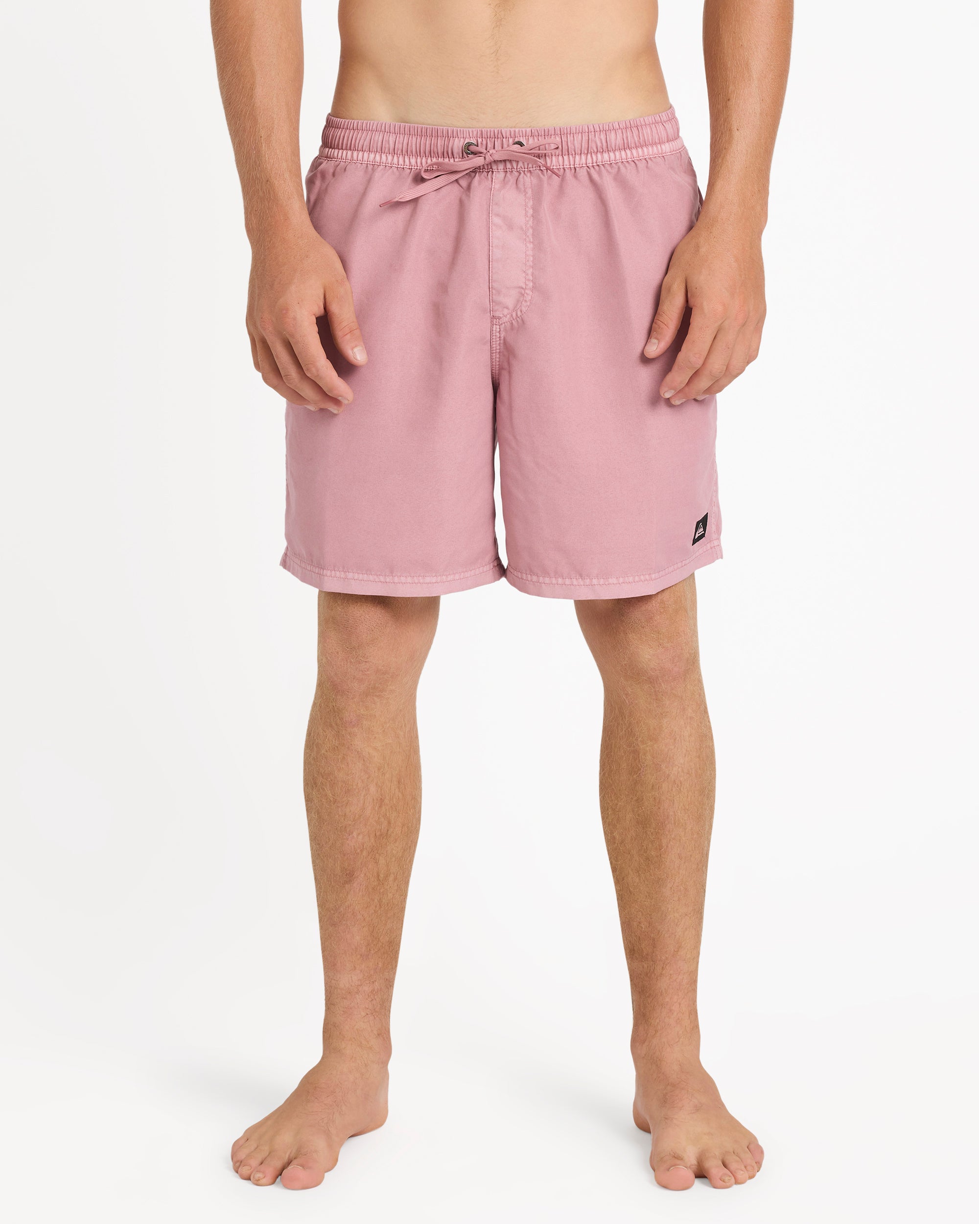 Mens Everyday Surfwash 17" Swim Shorts