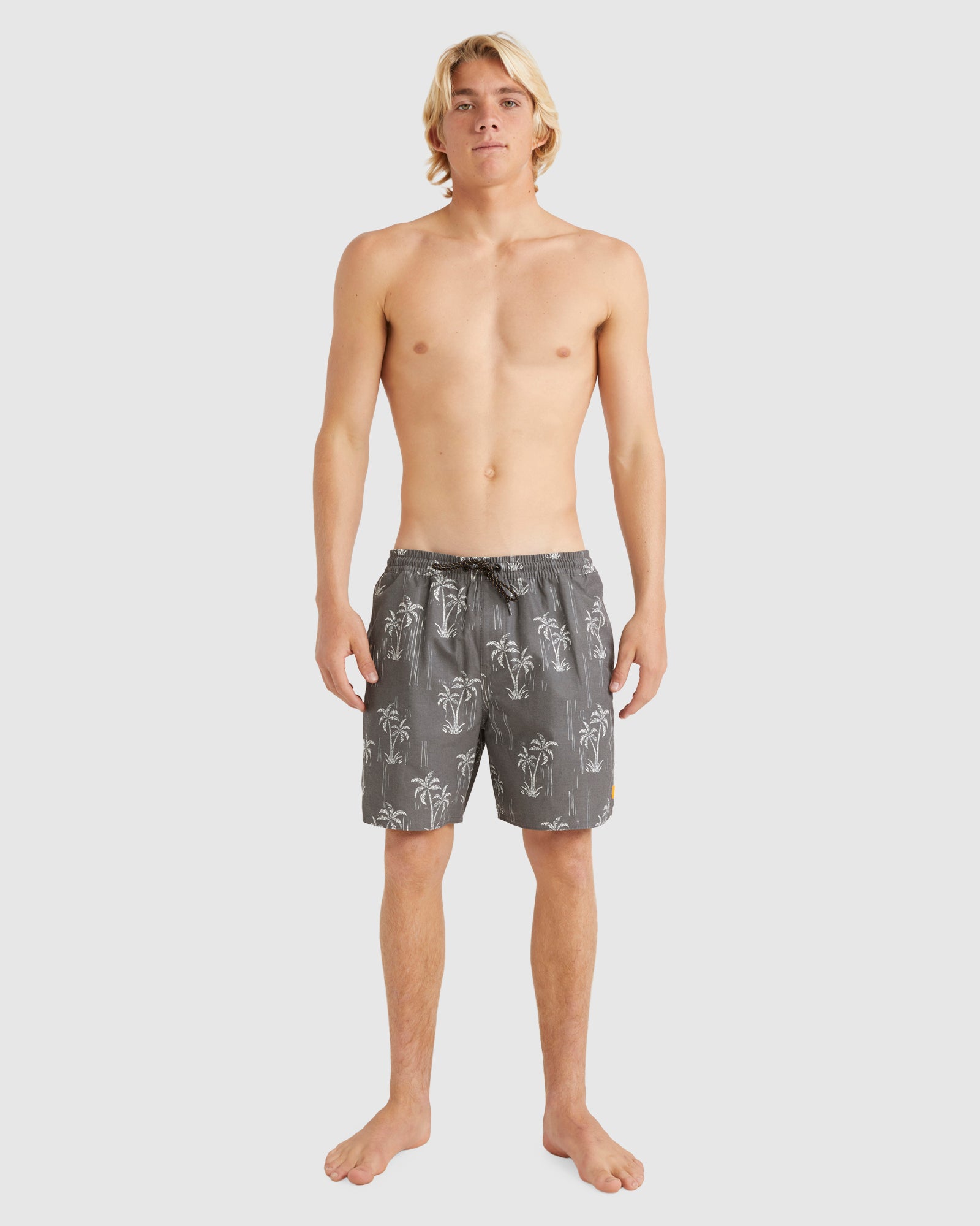 Mens Cliffside 17" Swim Shorts