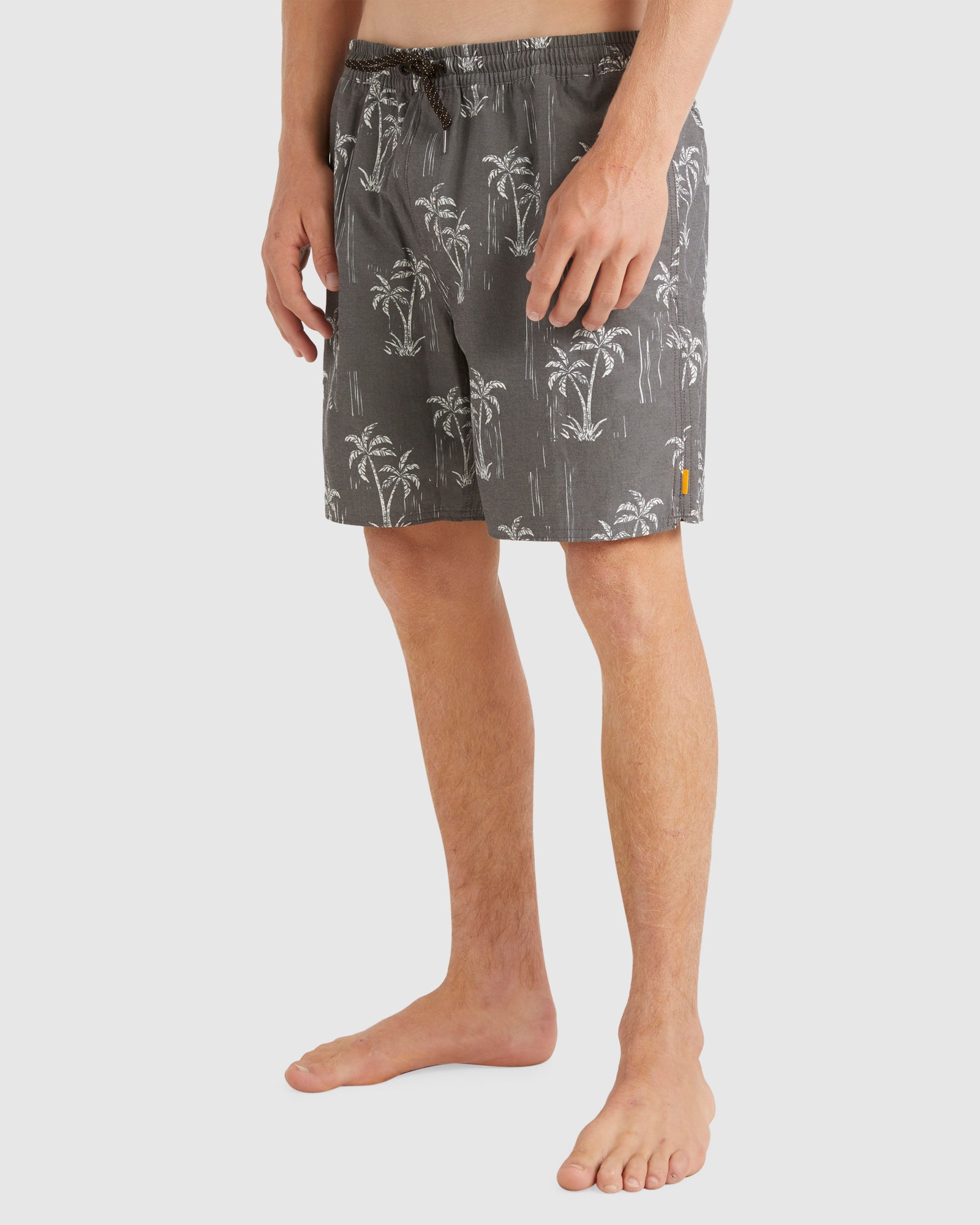 Mens Cliffside 17" Swim Shorts