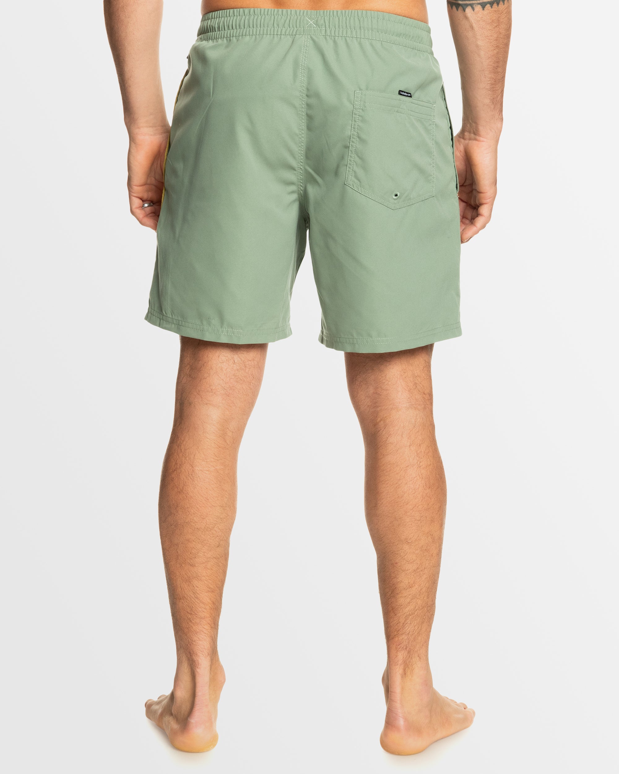 Mens Everyday Vert Volley 17" Swim Shorts