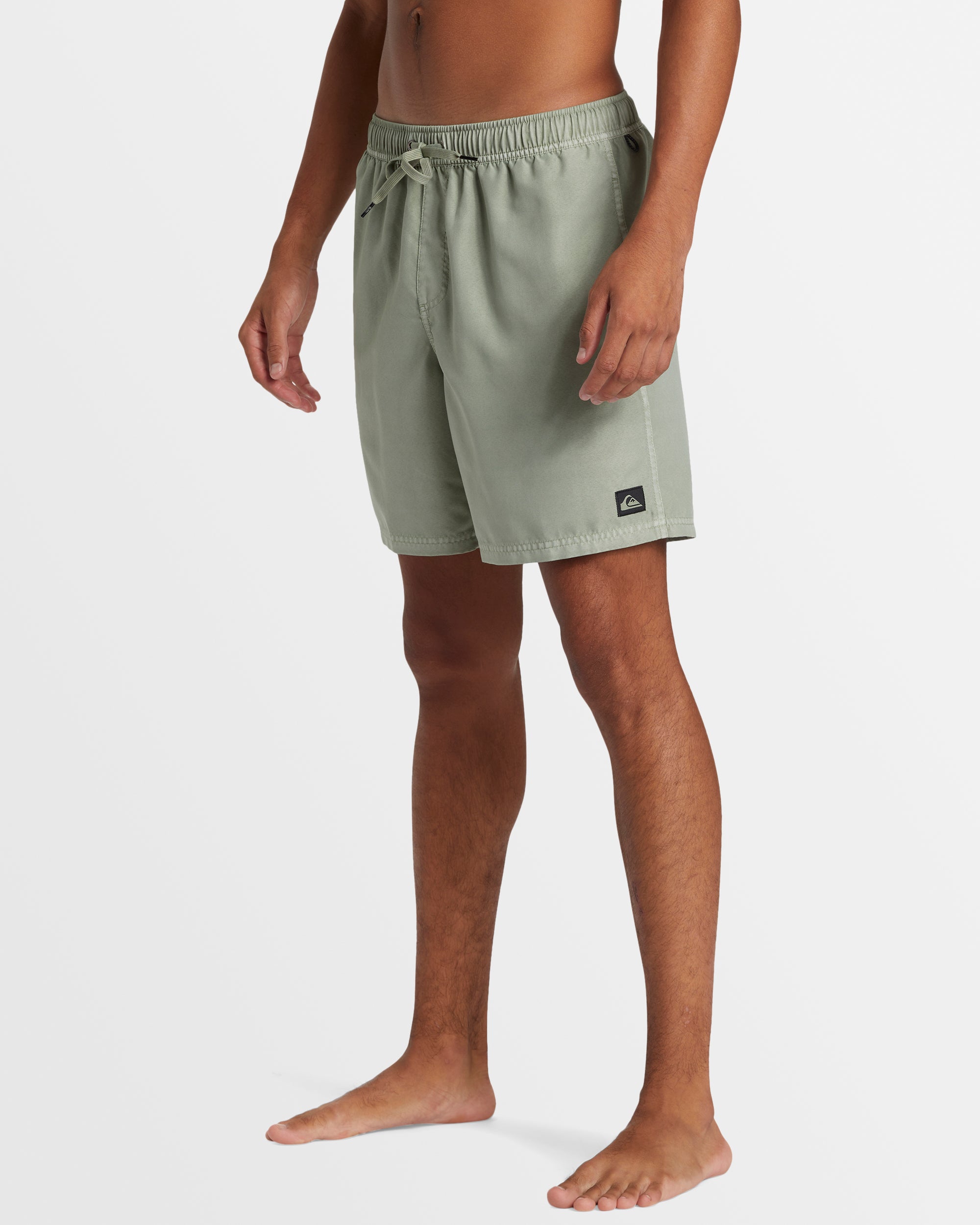 Mens Everyday Surfwash Volley 17" Boardshorts