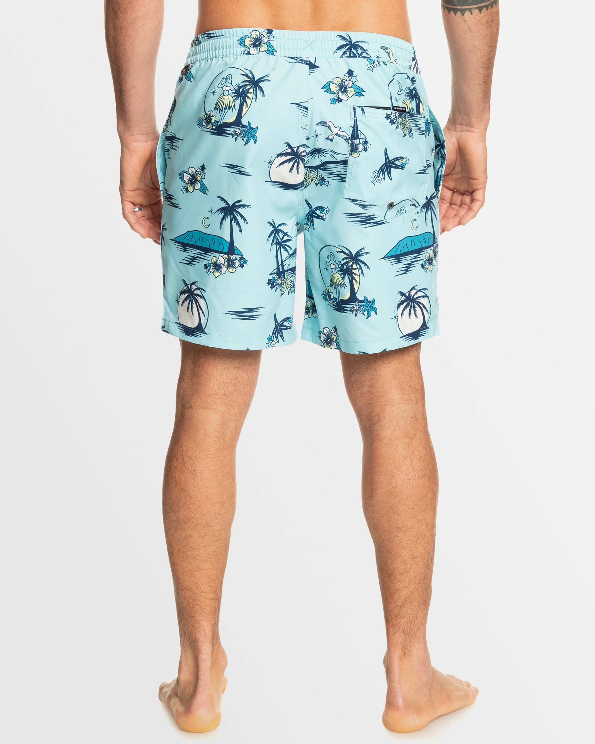 Mens Everyday Mix 17" Swim Shorts