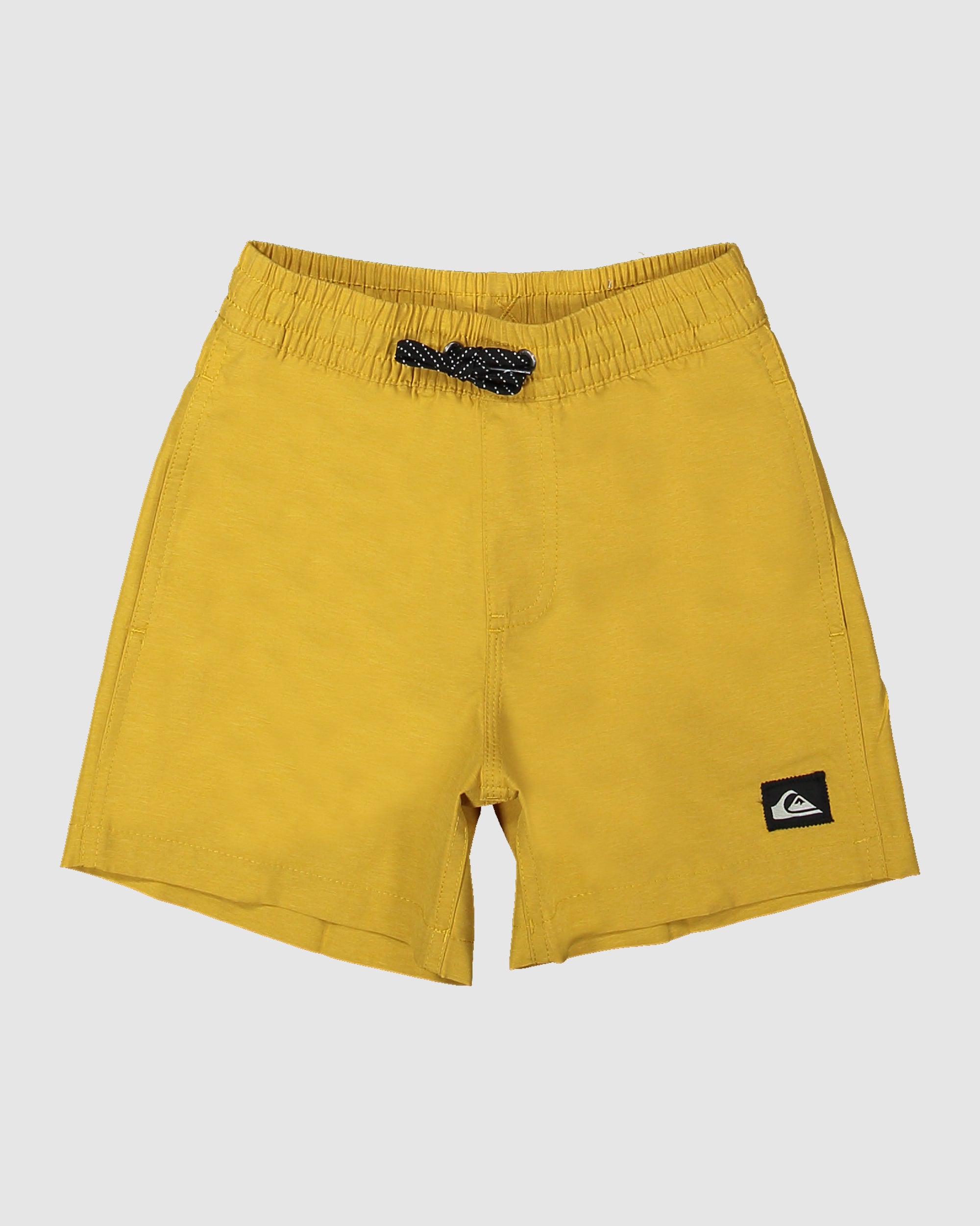 Boys 2-7 Everyday Deluxe 12" Swim Shorts for Boys