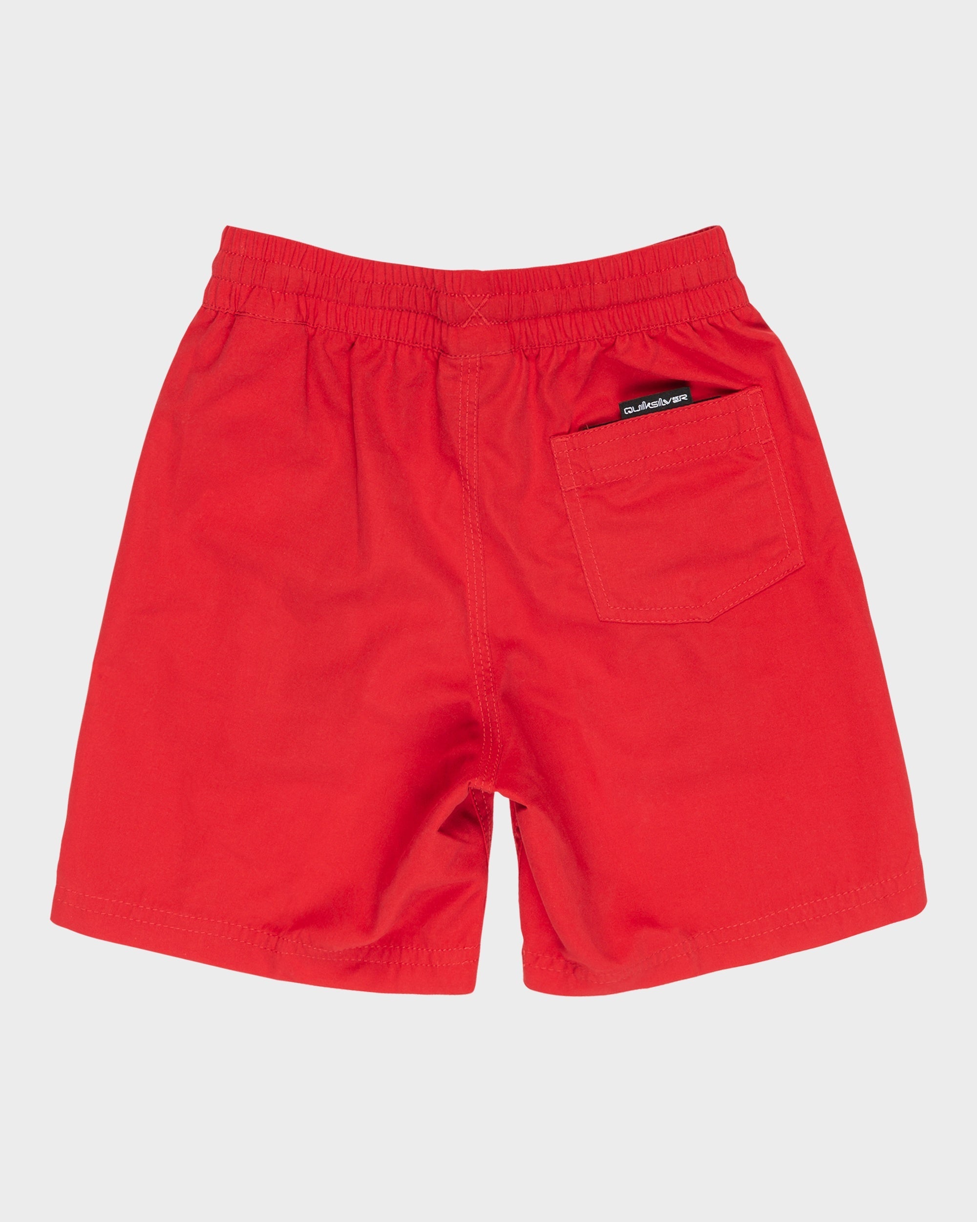 Boys 2-7 Vert Volley 13" Swim Shorts