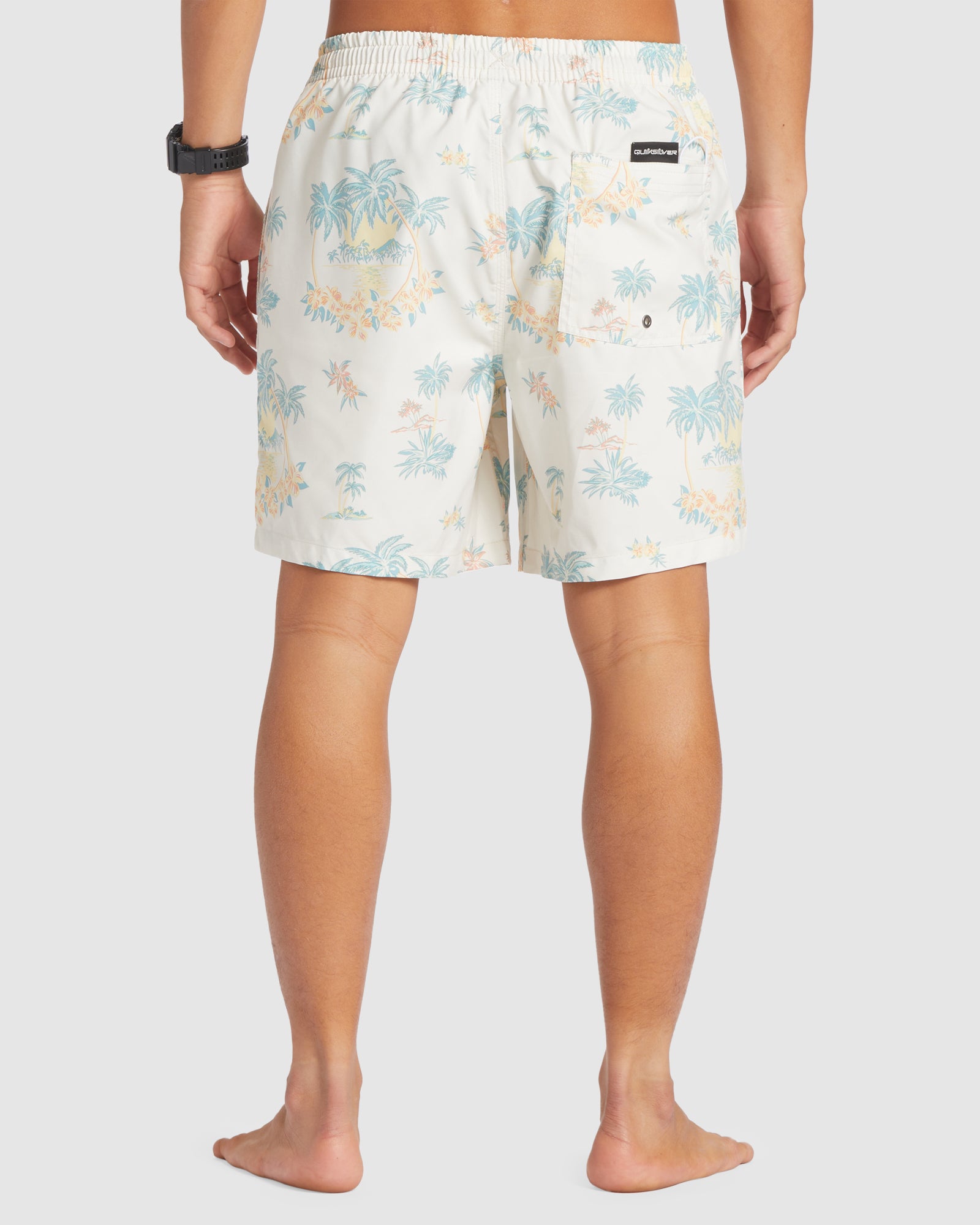 Mens Everyday Mix 17" Swim Shorts