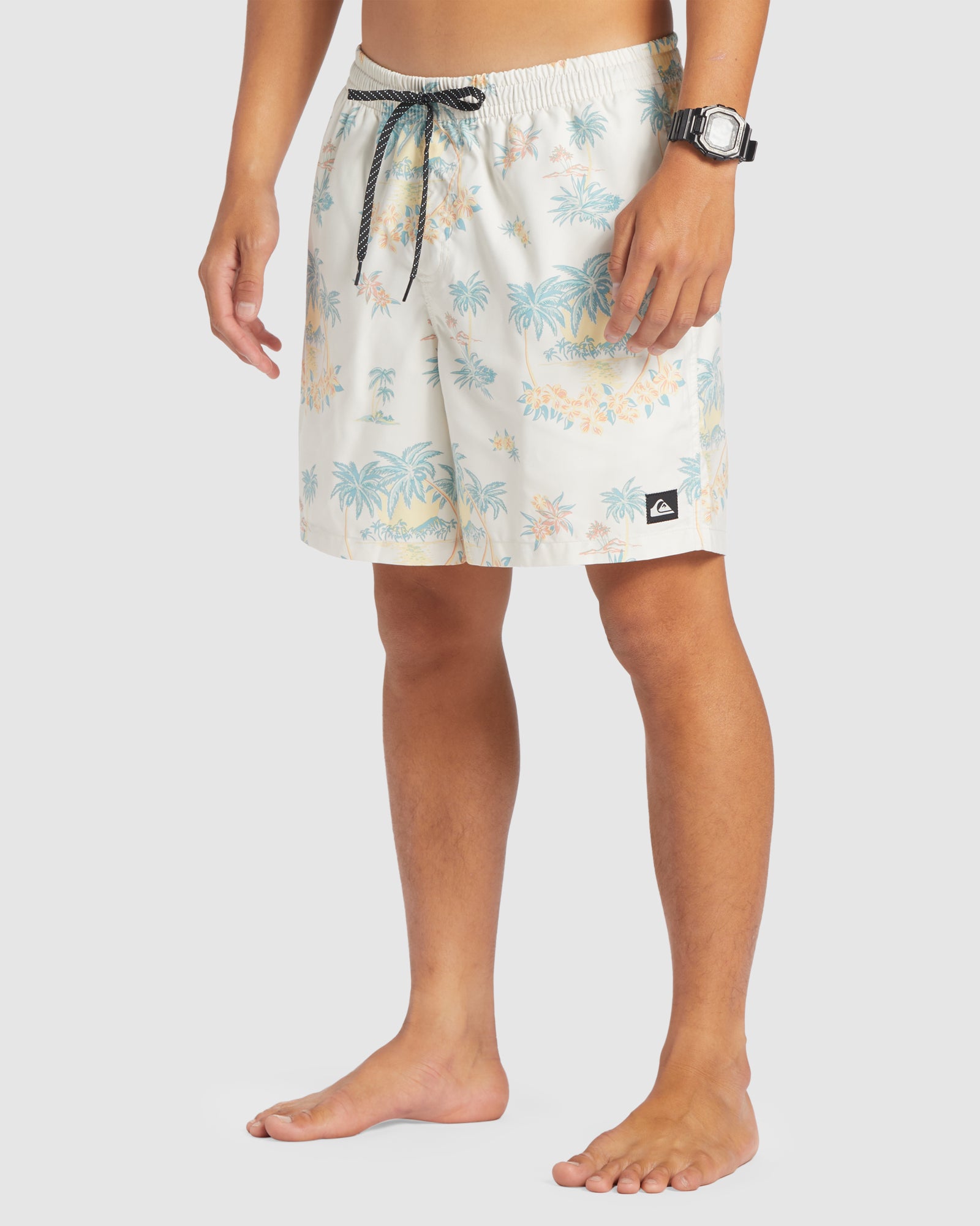 Mens Everyday Mix 17" Swim Shorts