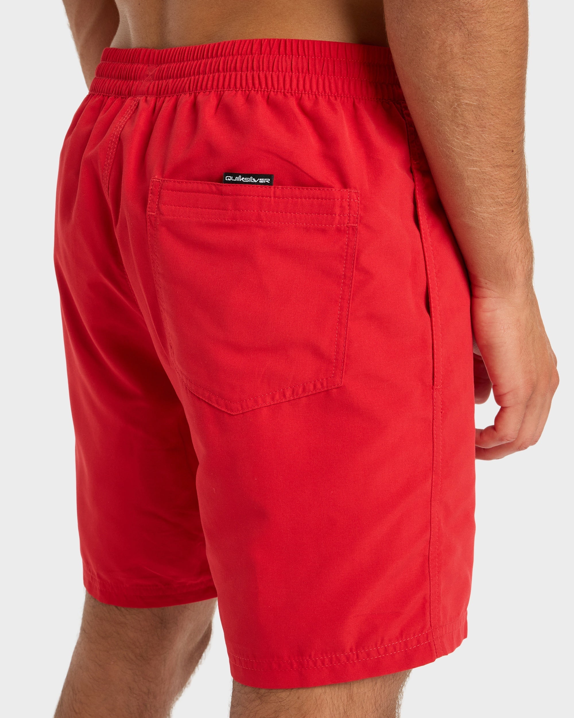 Mens Everyday Volley 17" Swim Shorts