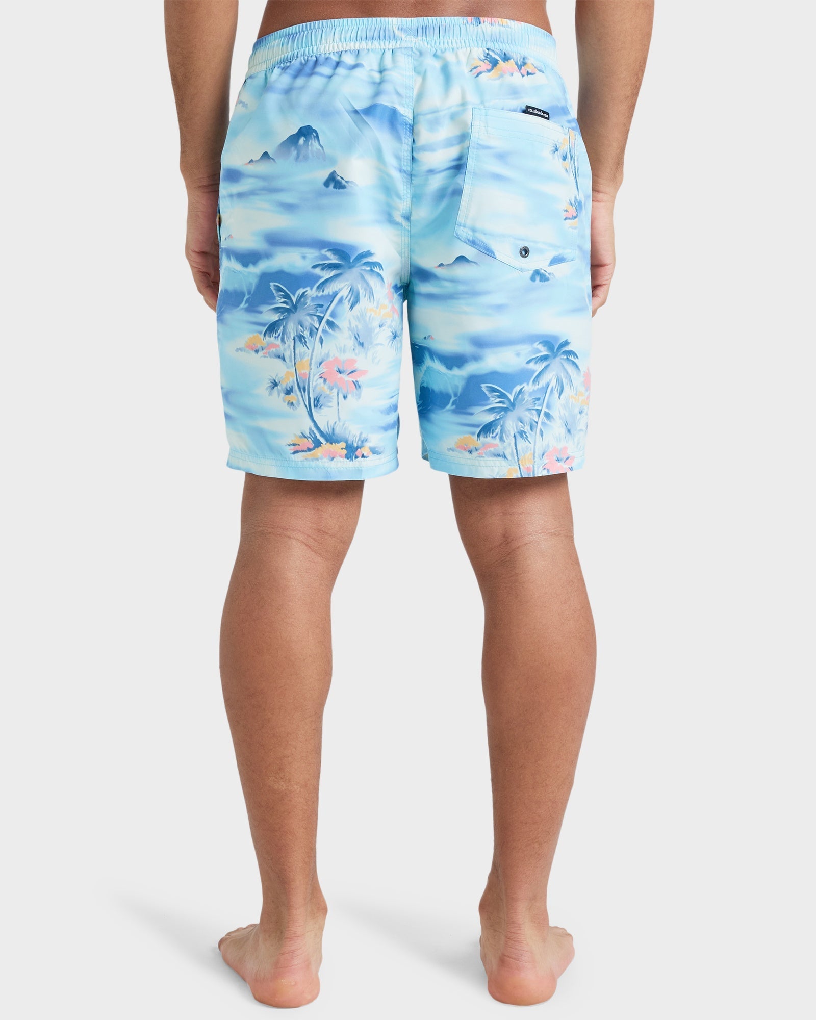 Mens Everyday 17" Swim Shorts