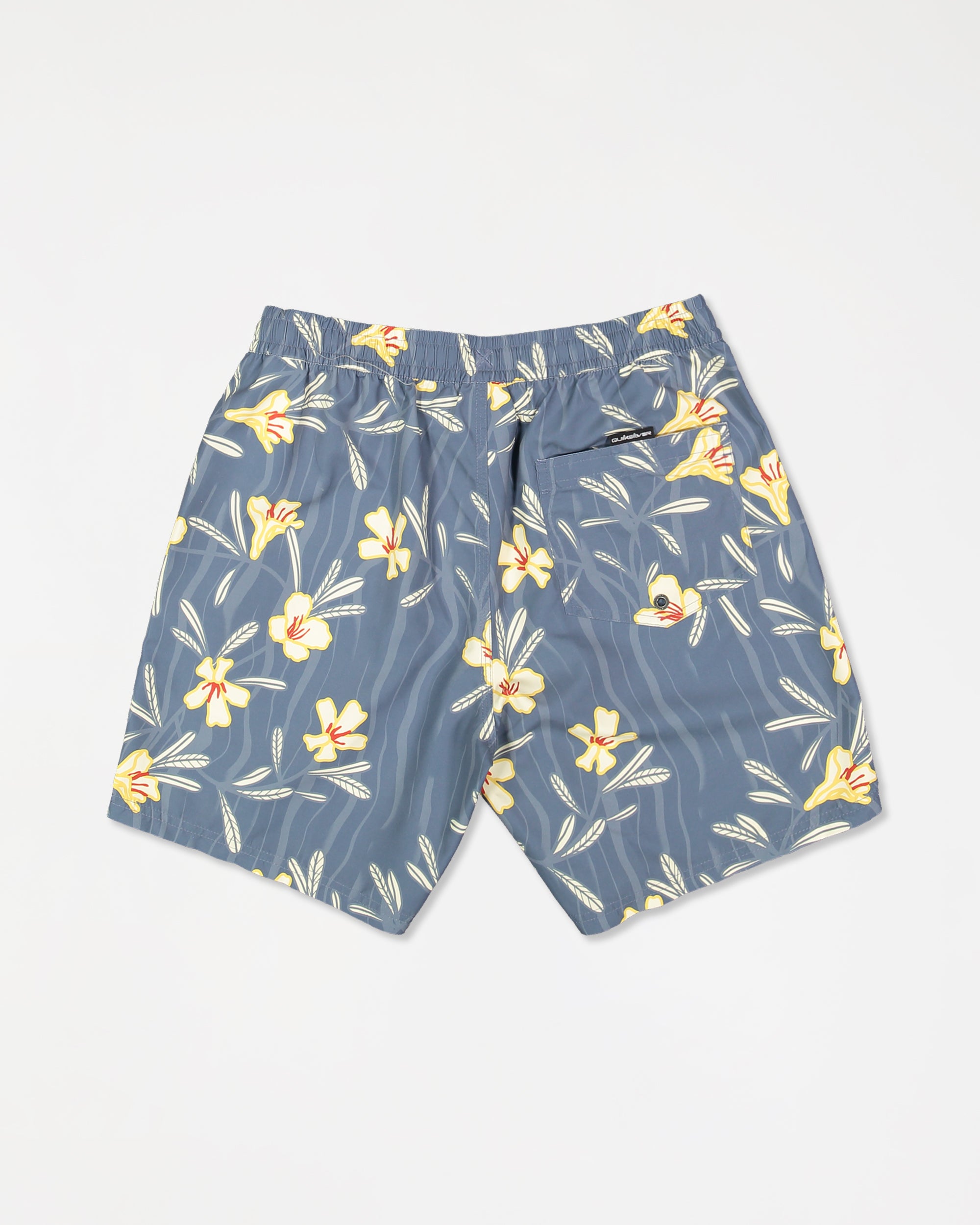 eqyjv04142_quiksilver_bnd8_bck1_flat