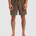 Mens Everyday Surfwash 17" Swim Shorts