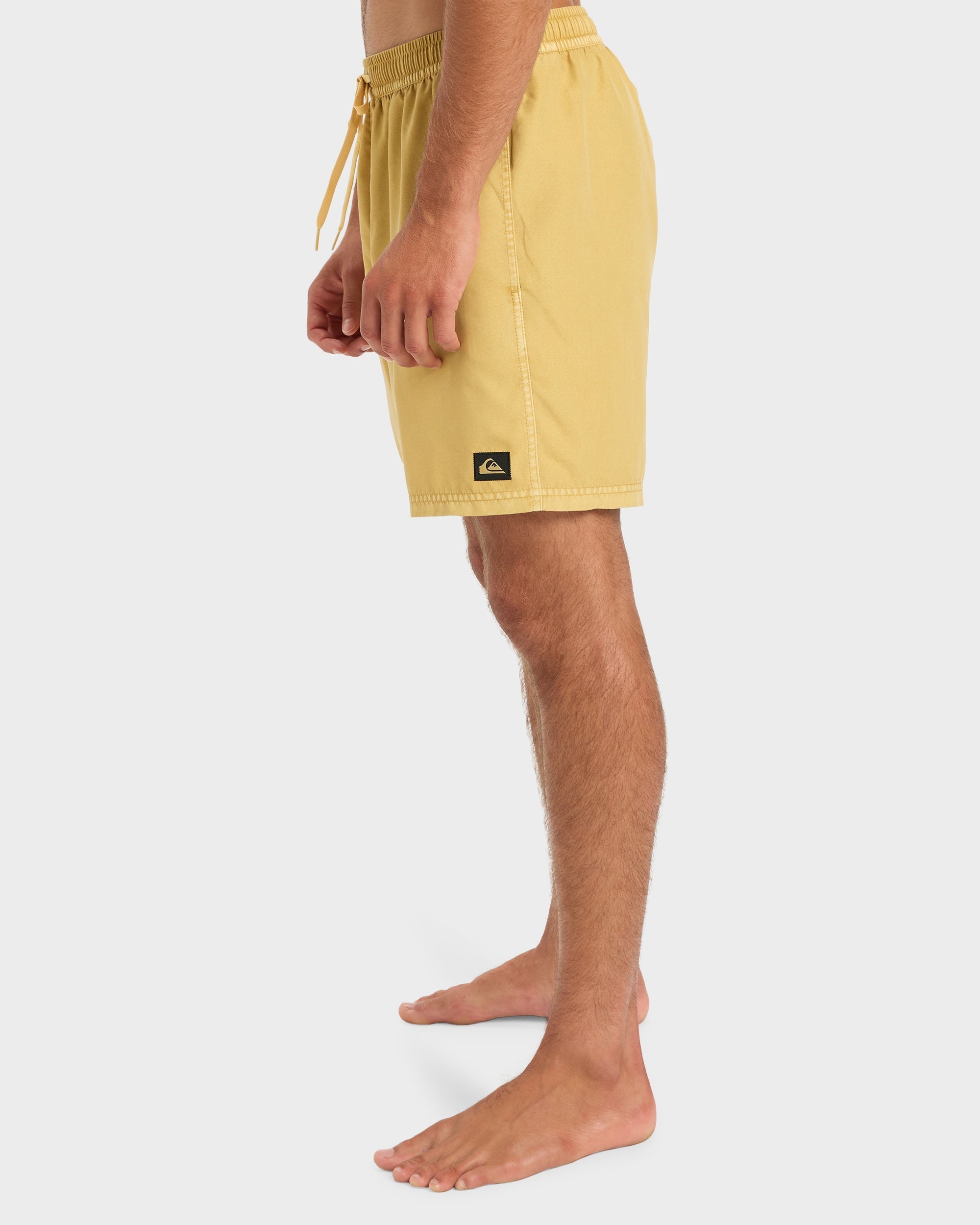 Mens Everyday Surfwash 17" Swim Shorts