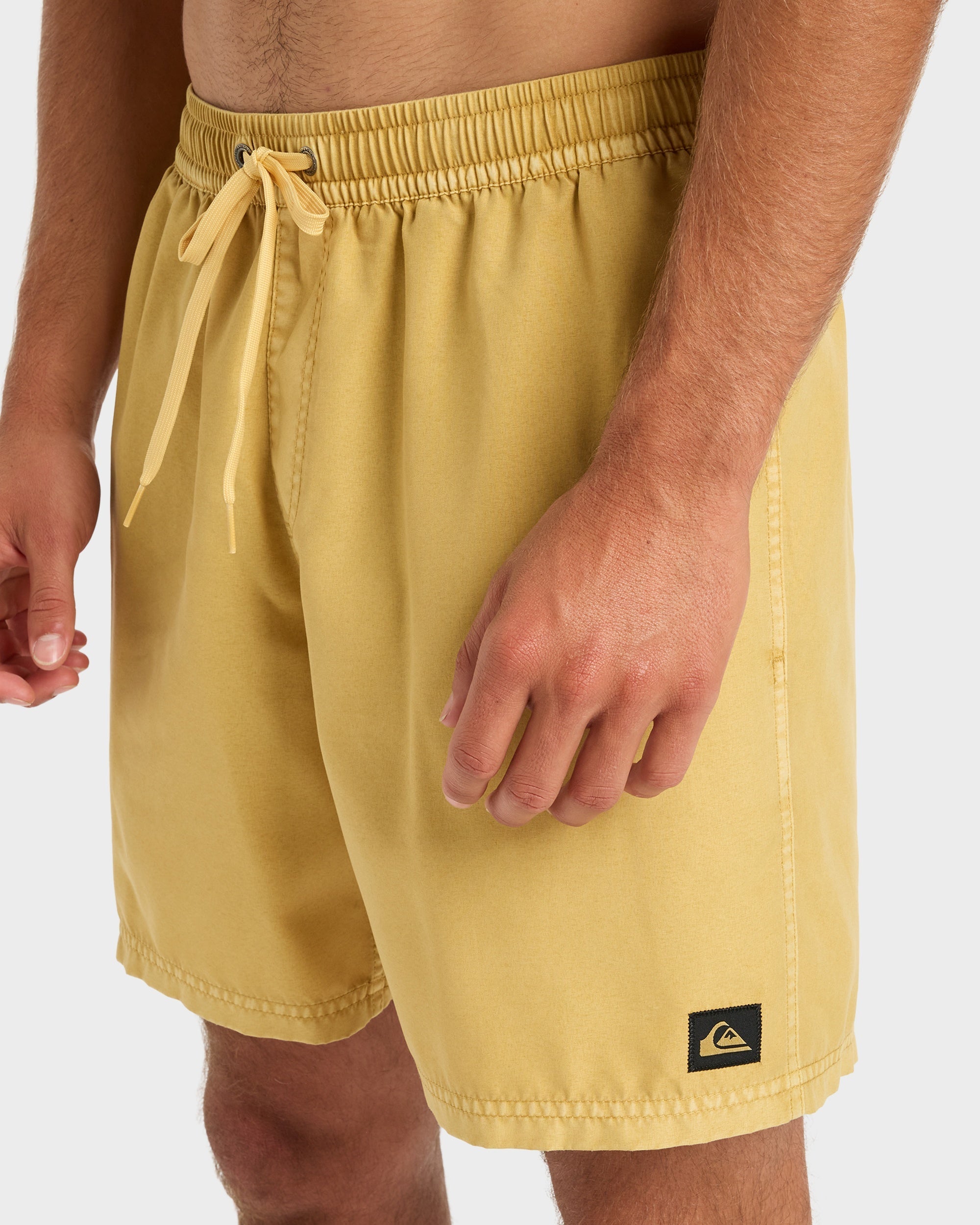 Mens Everyday Surfwash 17" Swim Shorts