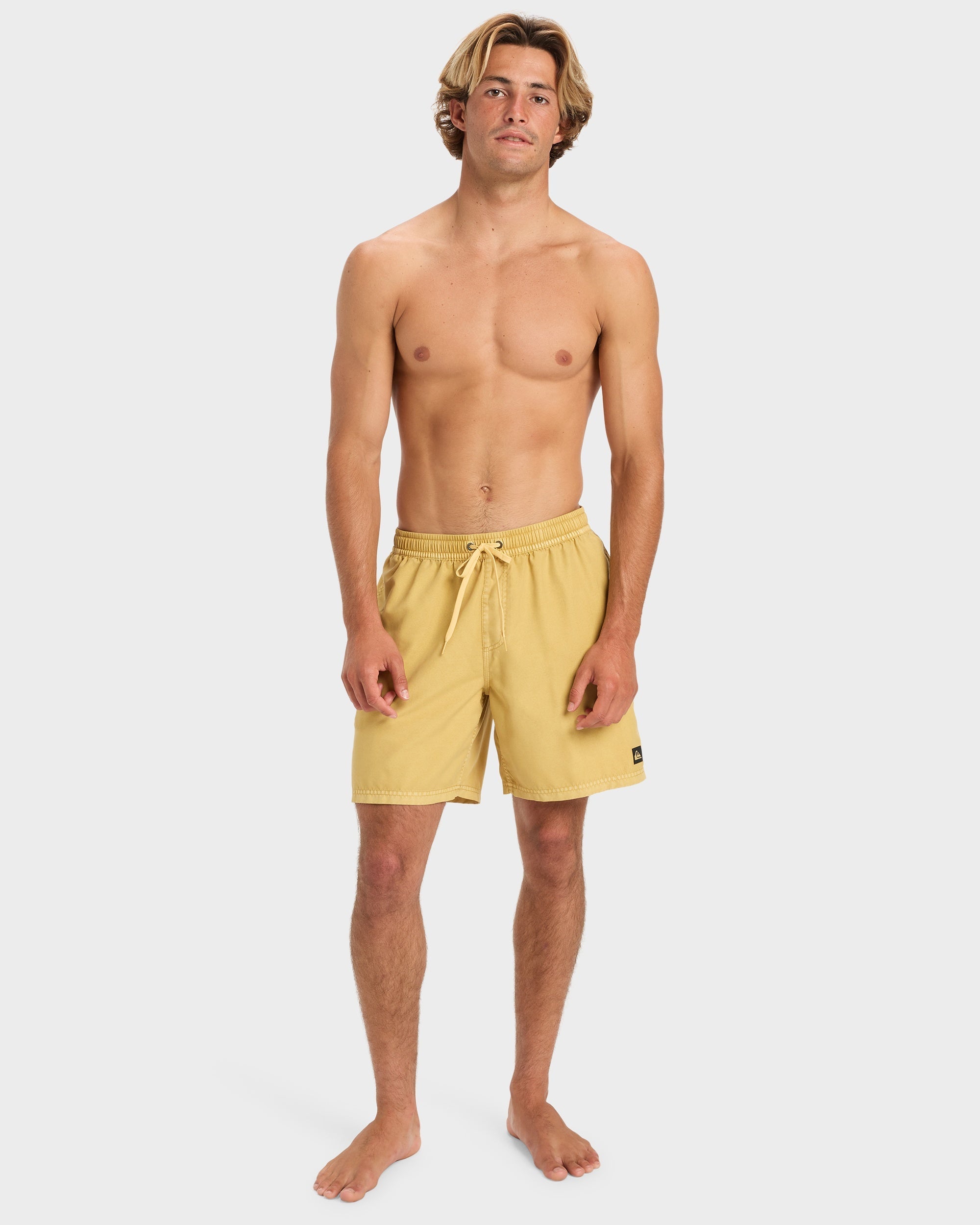 Mens Everyday Surfwash 17" Swim Shorts