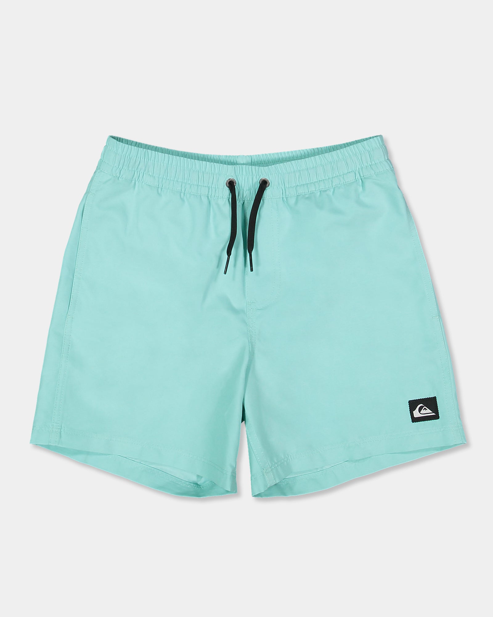 Boys 8-16 Everyday Volley 14" Swim Shorts