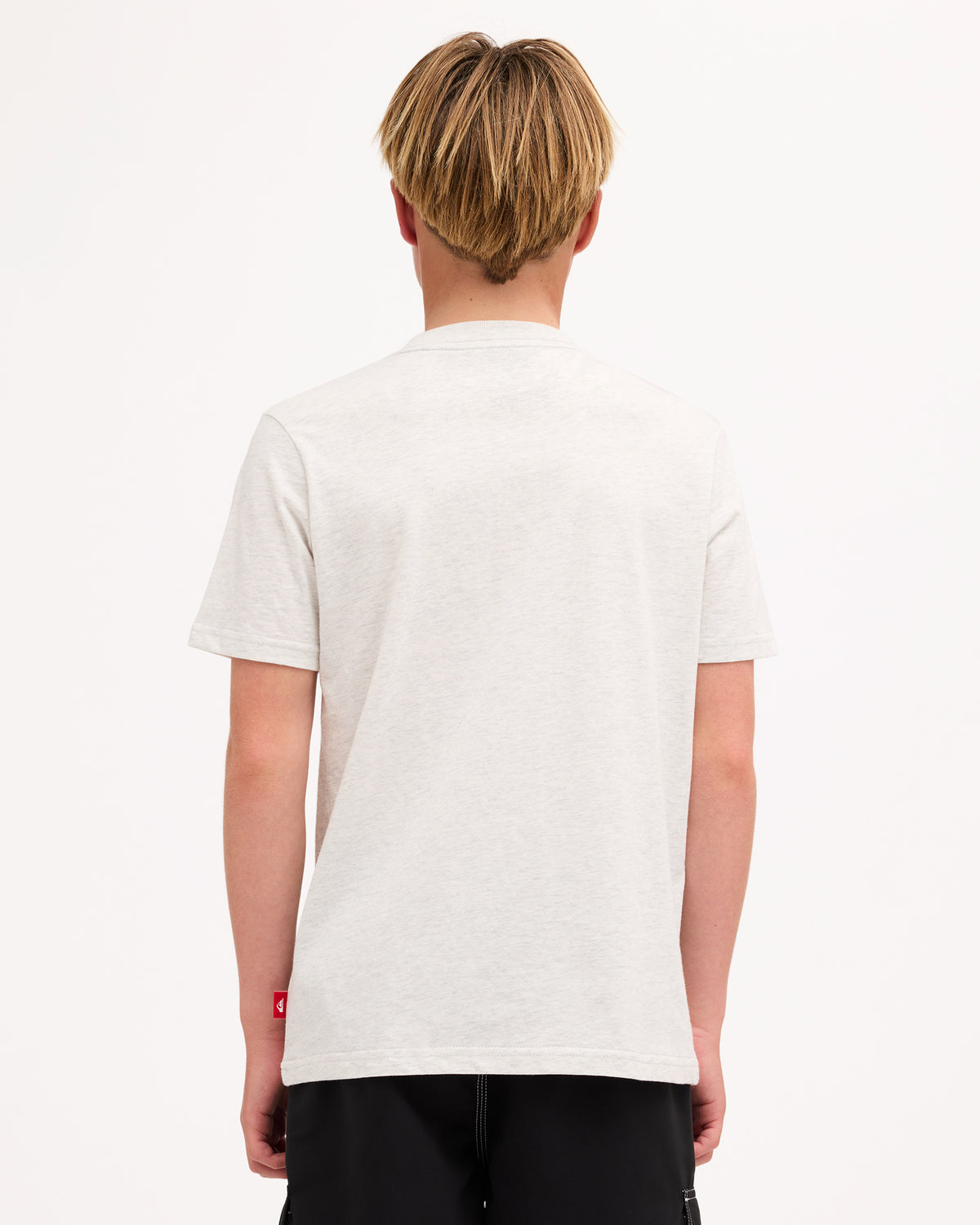uqbkt03060_quiksilver_sfvh_bck1