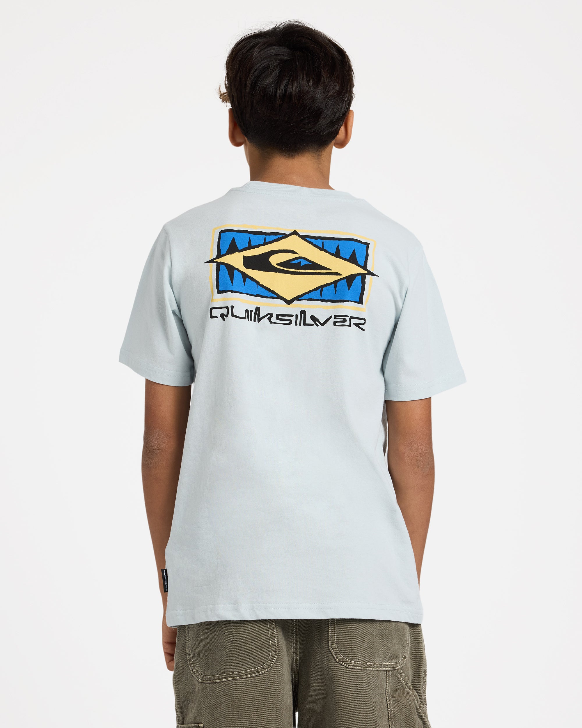 uqbzt03517_quiksilver_bzl0_bck1