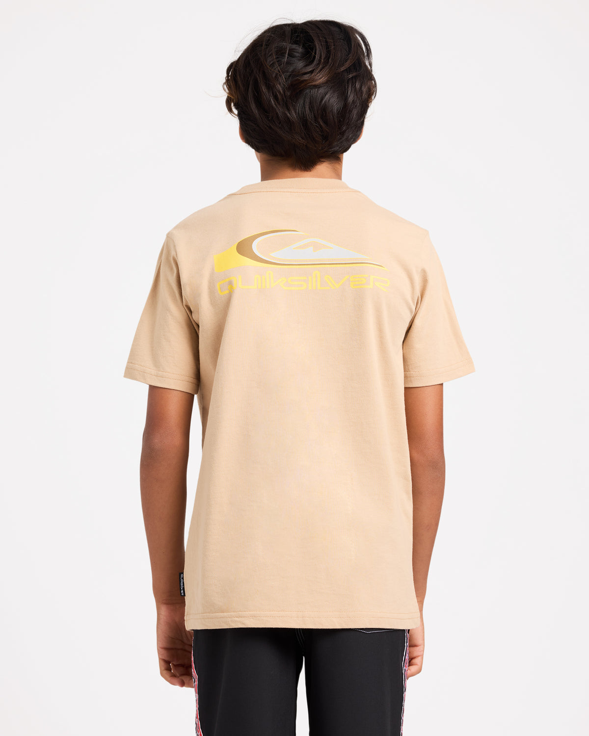uqbzt03525_quiksilver_thp0_bck1