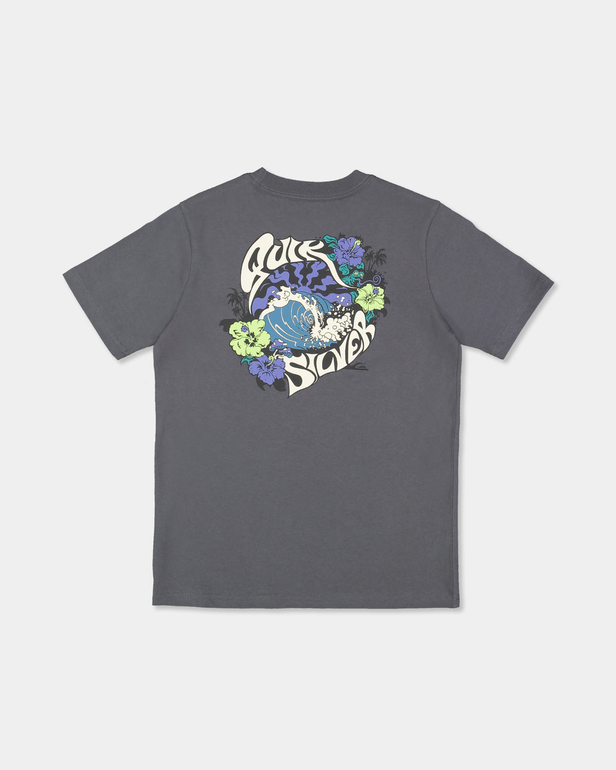 uqbzt03527_quiksilver_igt_bck1_flat