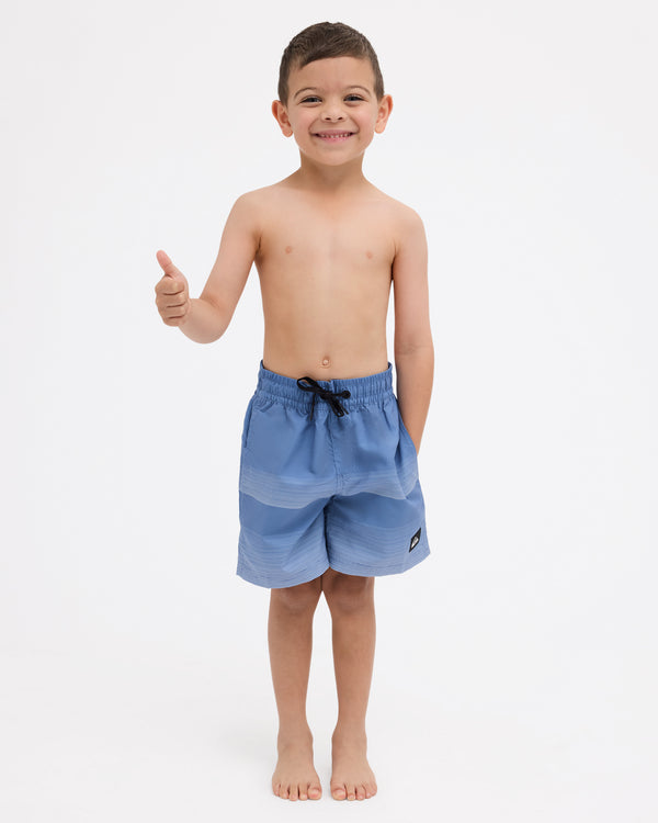 Boys 2-7 Everyday Stripe Volley Shorts