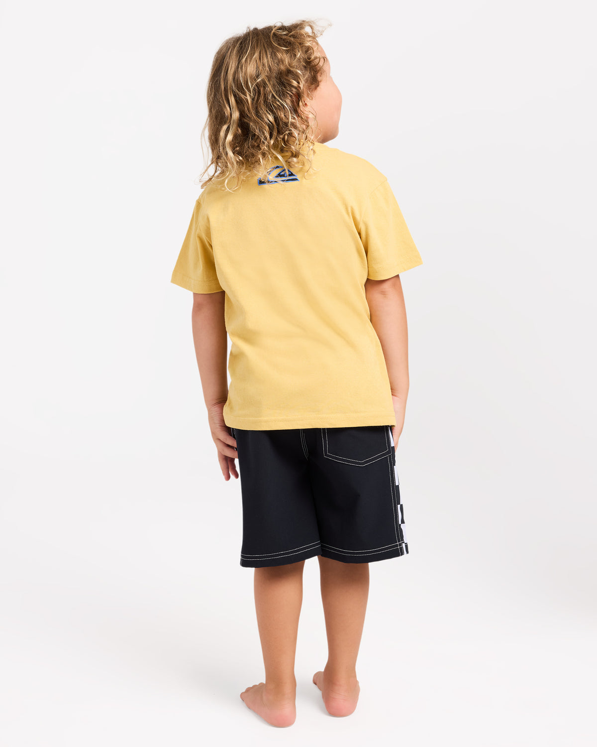 uqkzt03496_quiksilver_joj_bck1