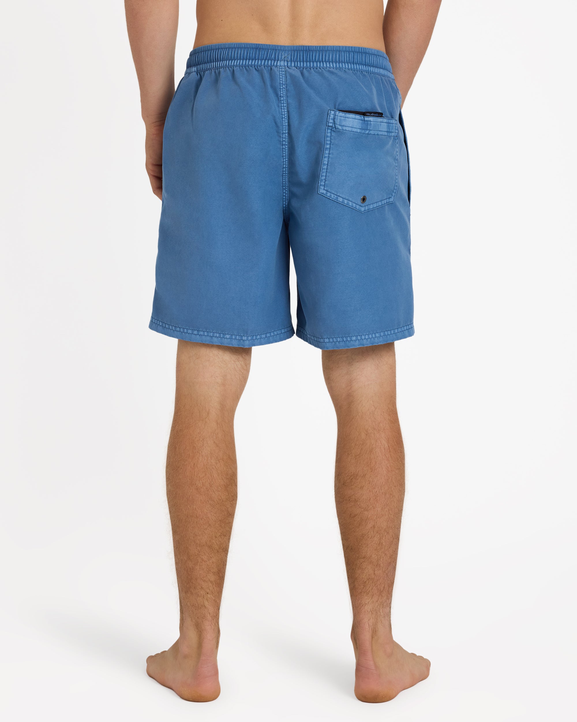Mens Everyday Surfwash 17" Volley Shorts