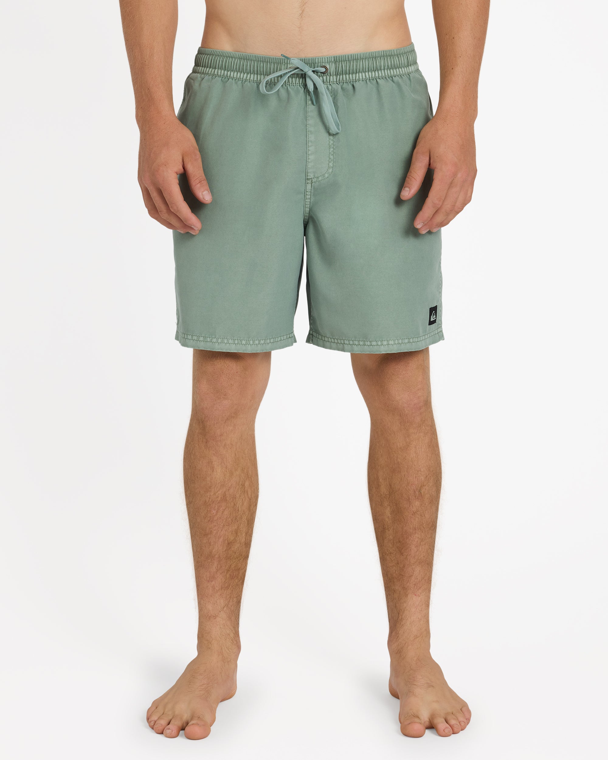 Mens Everyday Surfwash 17" Volley Shorts