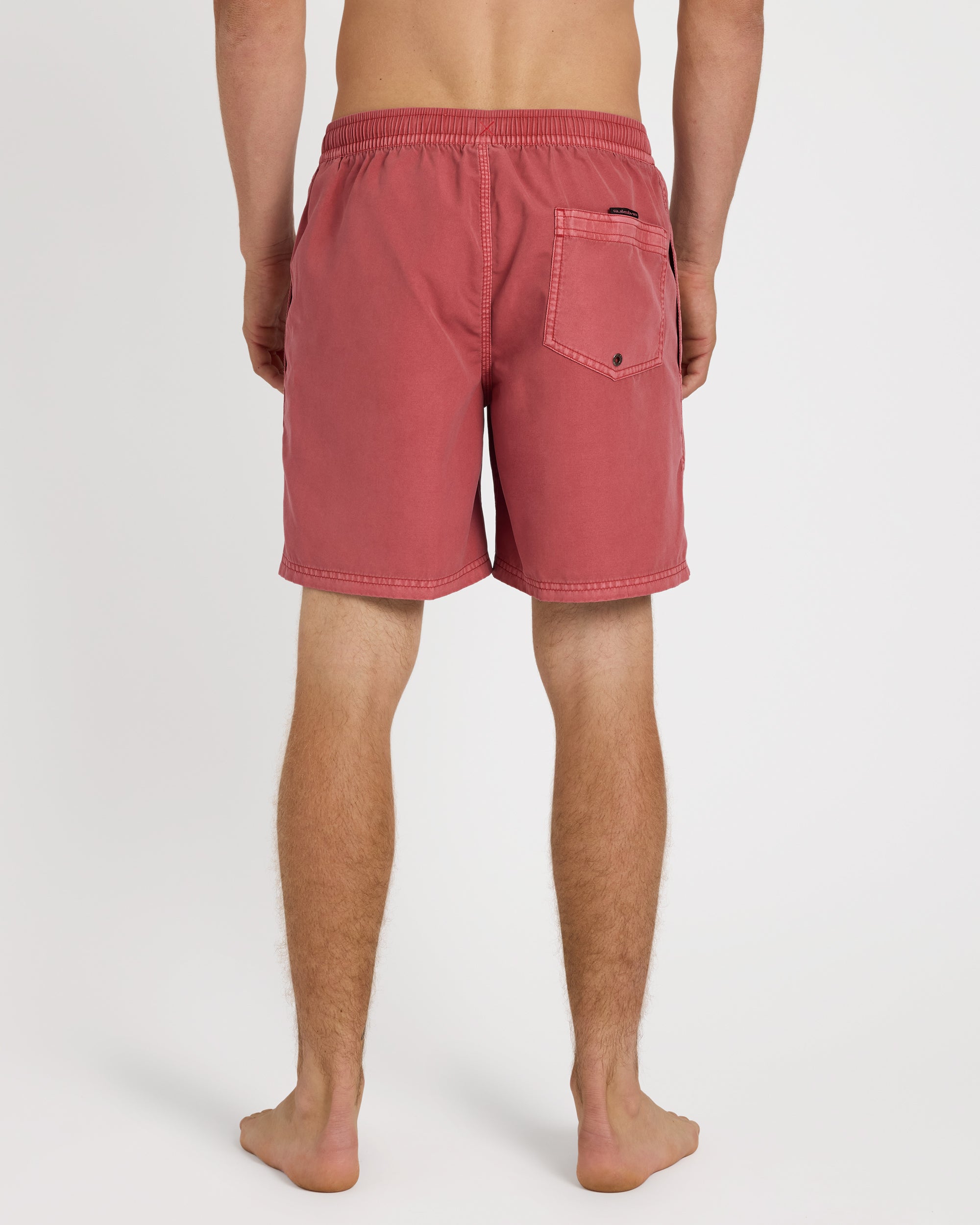 Mens Everyday Surfwash 17" Volley Shorts