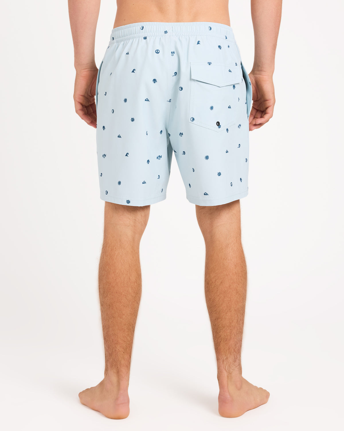 uqyjv03066_quiksilver_bfb0_bck1