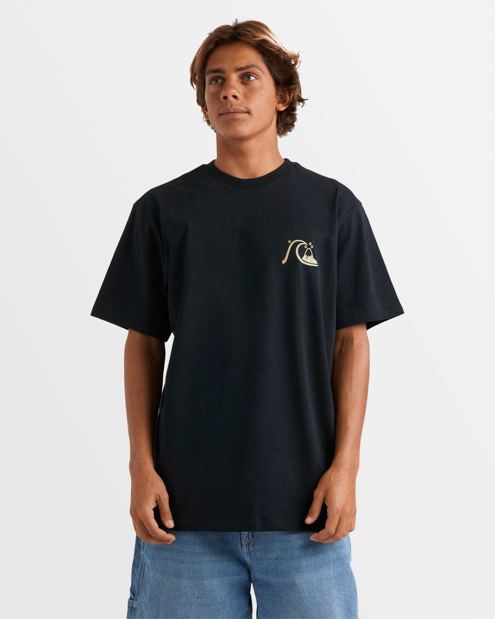 Mens Touro T-Shirt – Black – Quiksilver AU